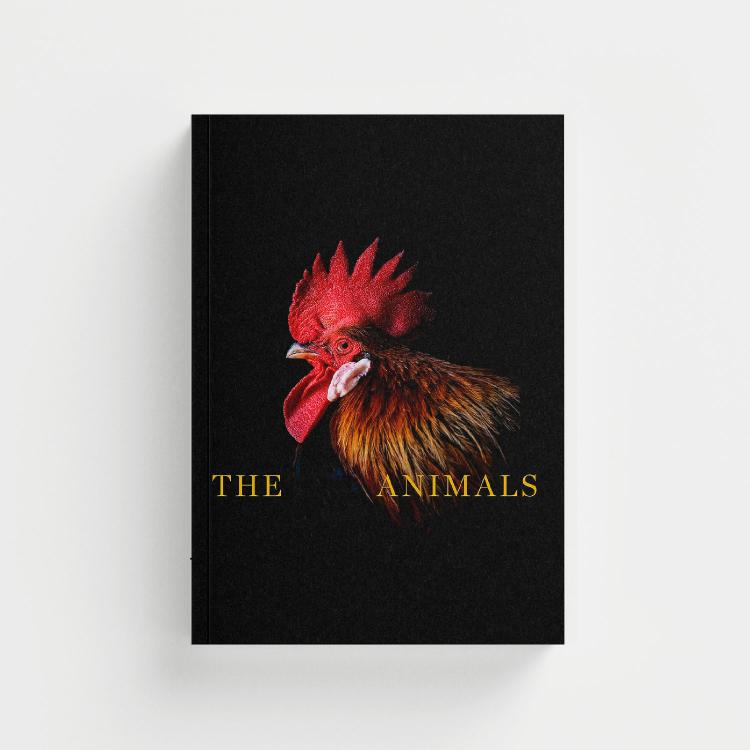 The Animals portada.