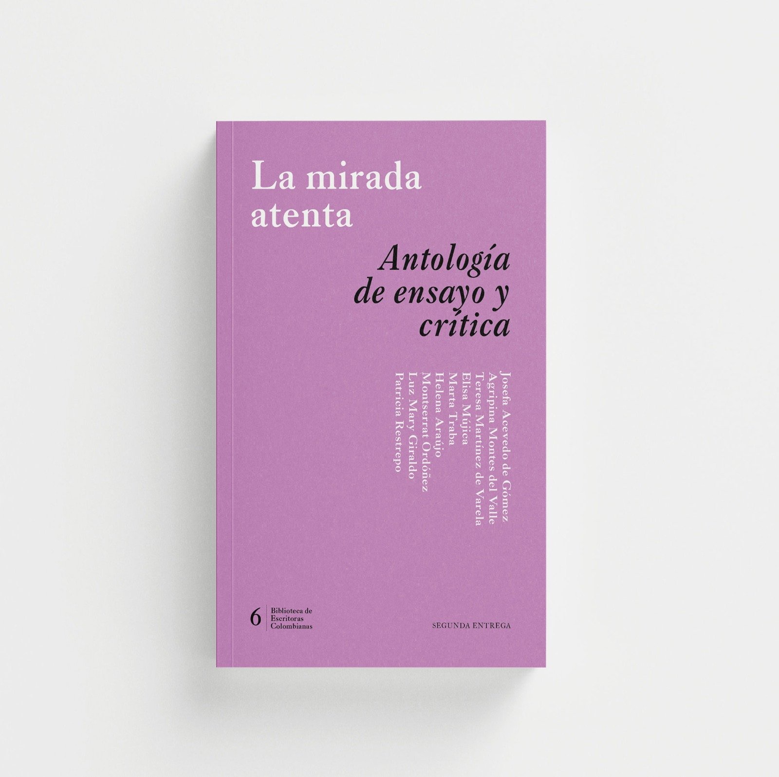 La mirada atenta