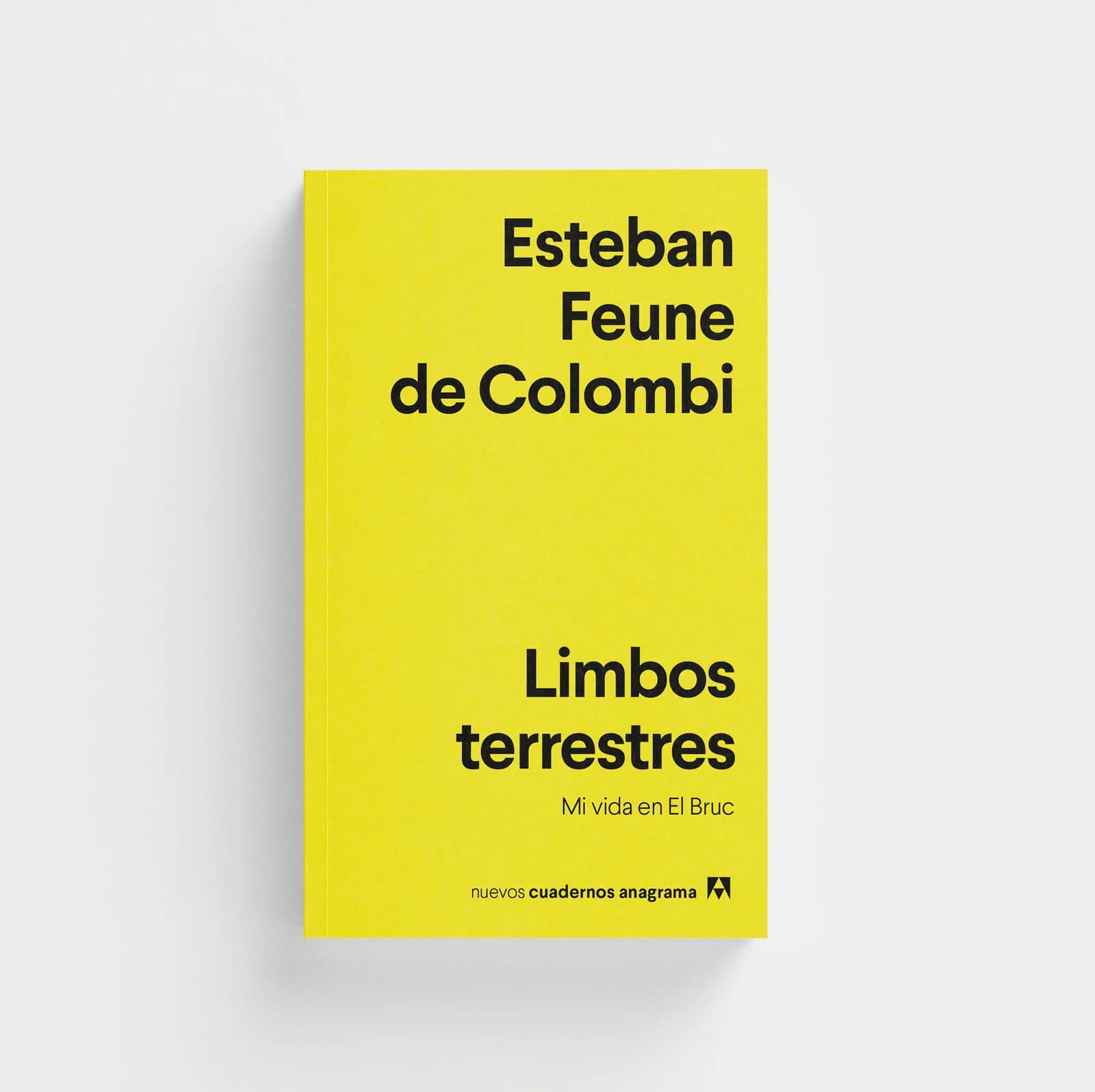 Limbos terrestres