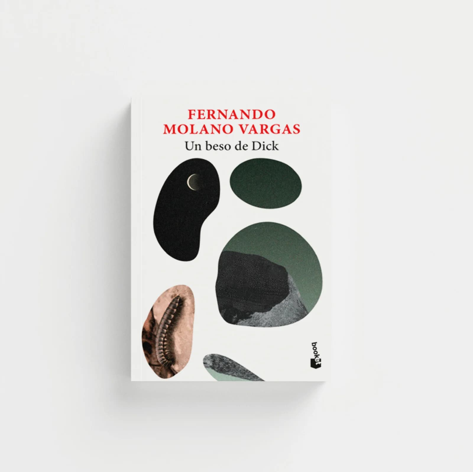 Portada de Un beso de Dick