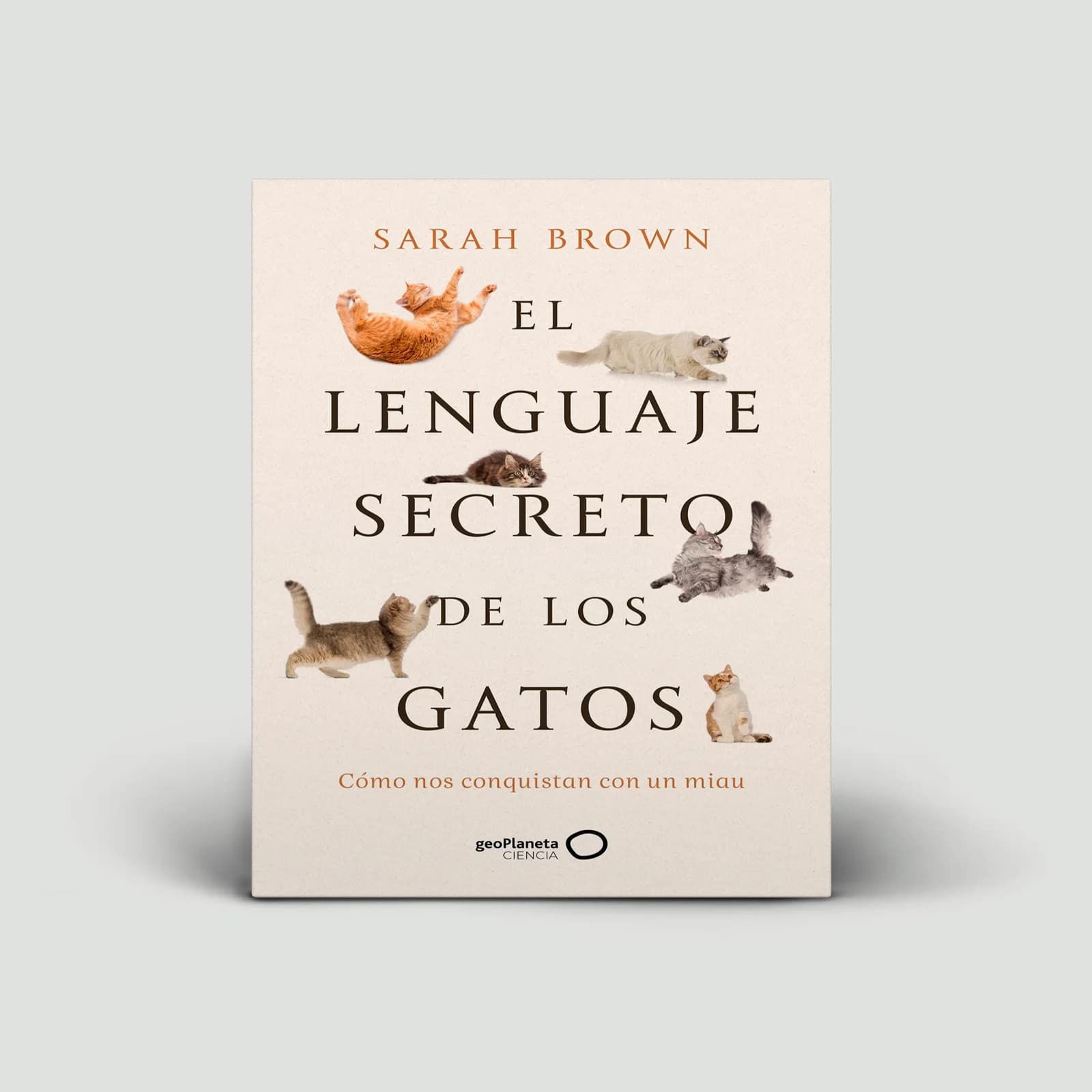 El lenguaje secreto de los gatos