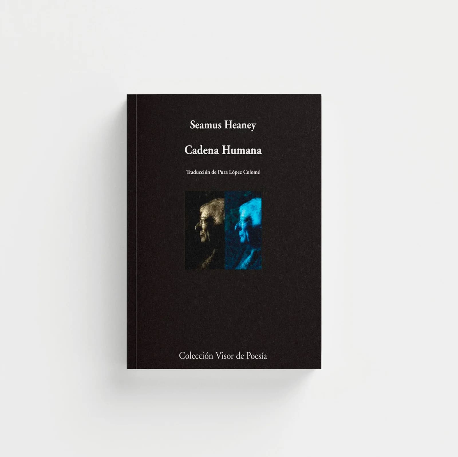 Cadena humana
