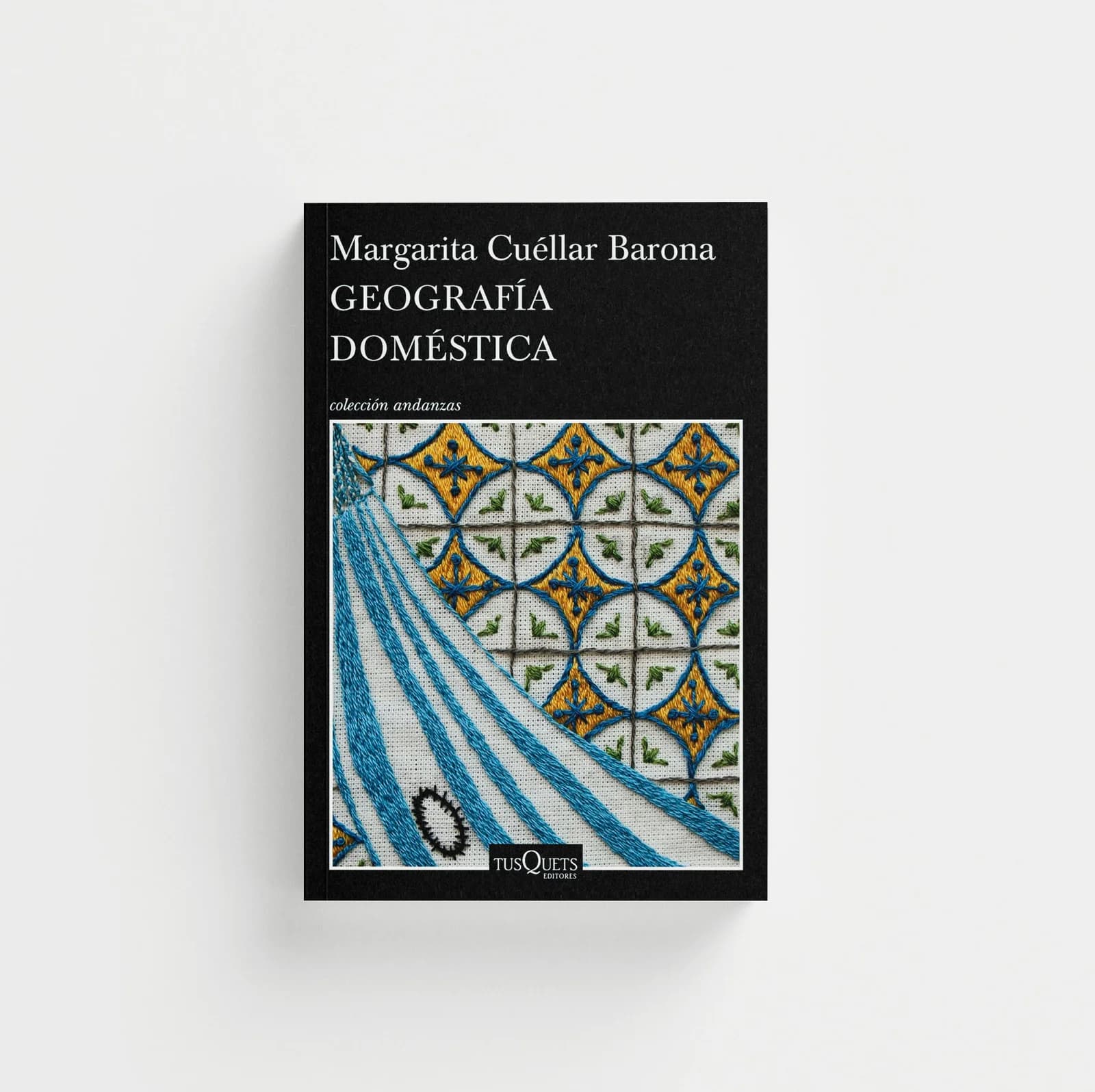 Geografía doméstica