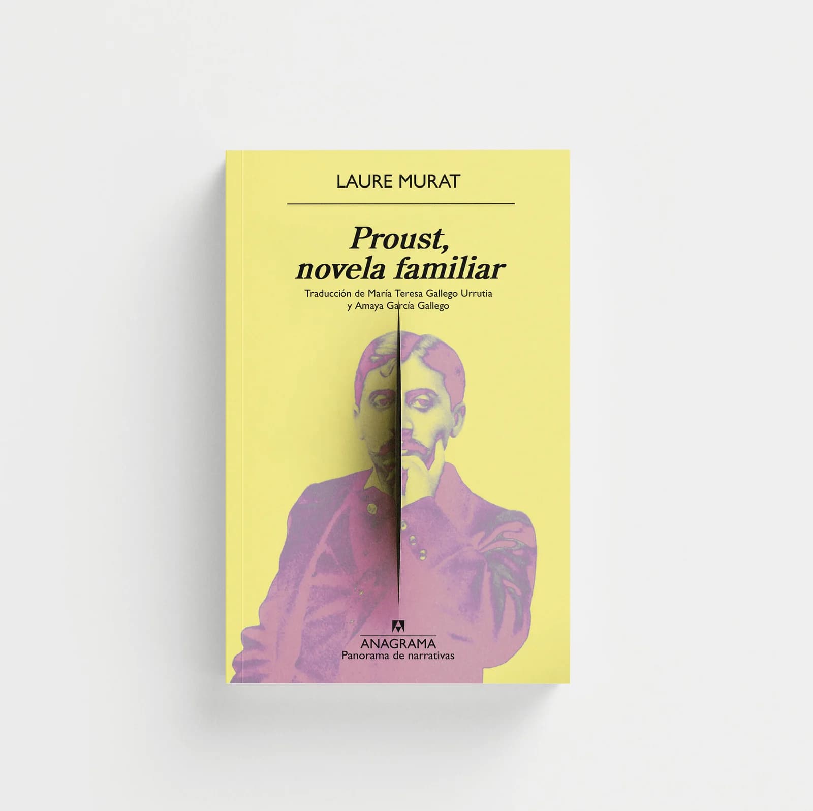 Proust, novela familiar