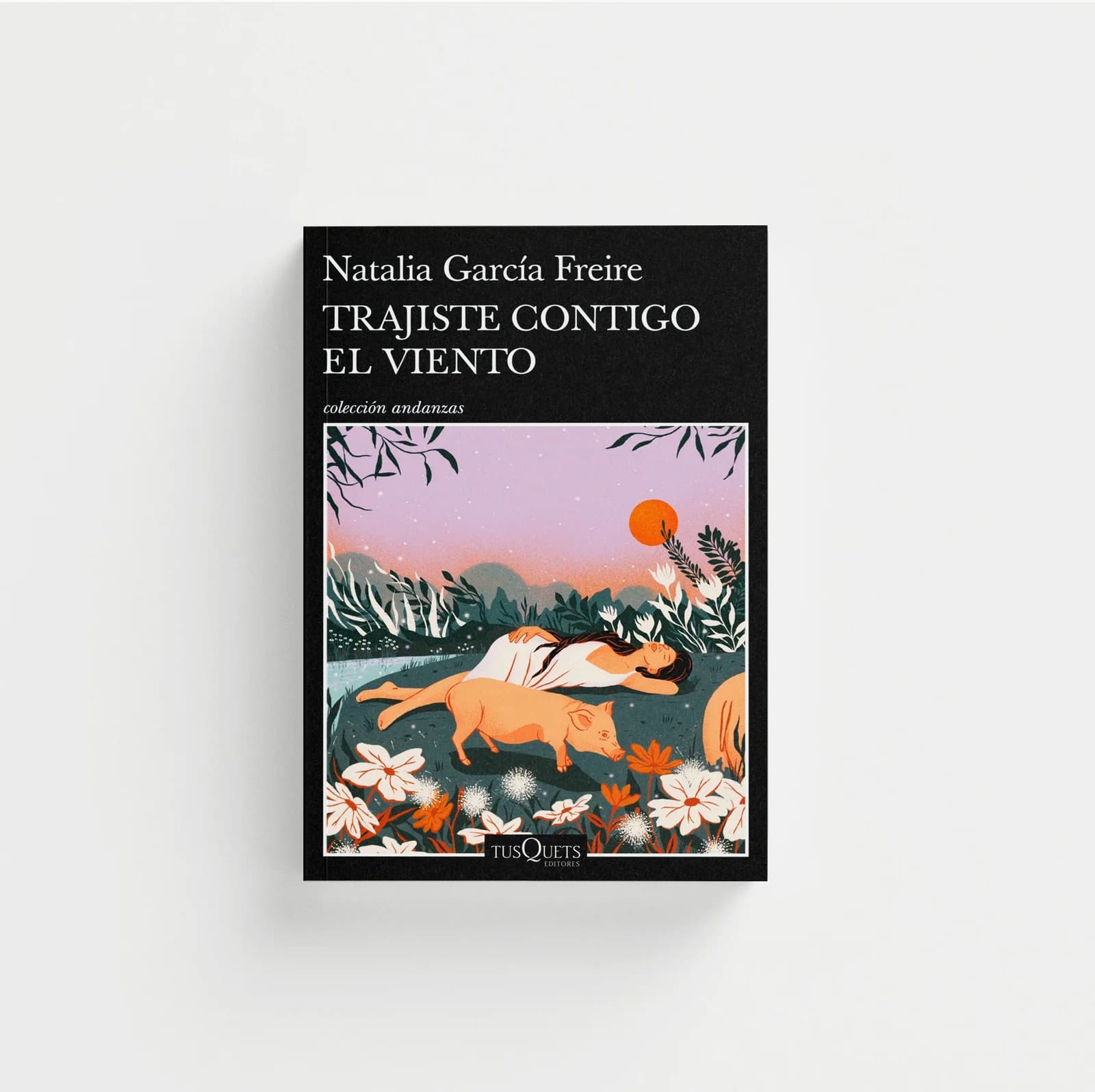 Trajiste contigo el viento