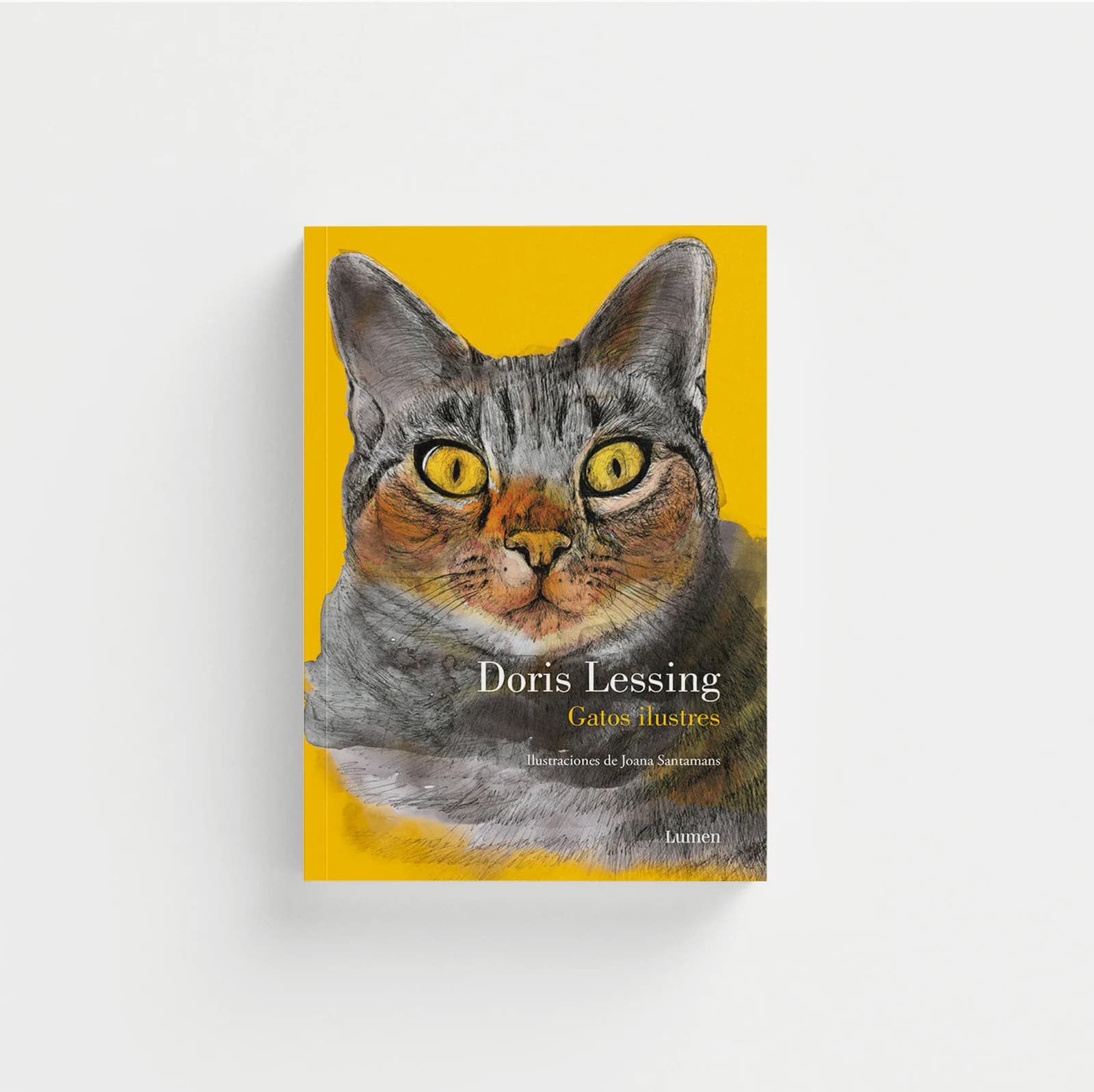 Gatos ilustres