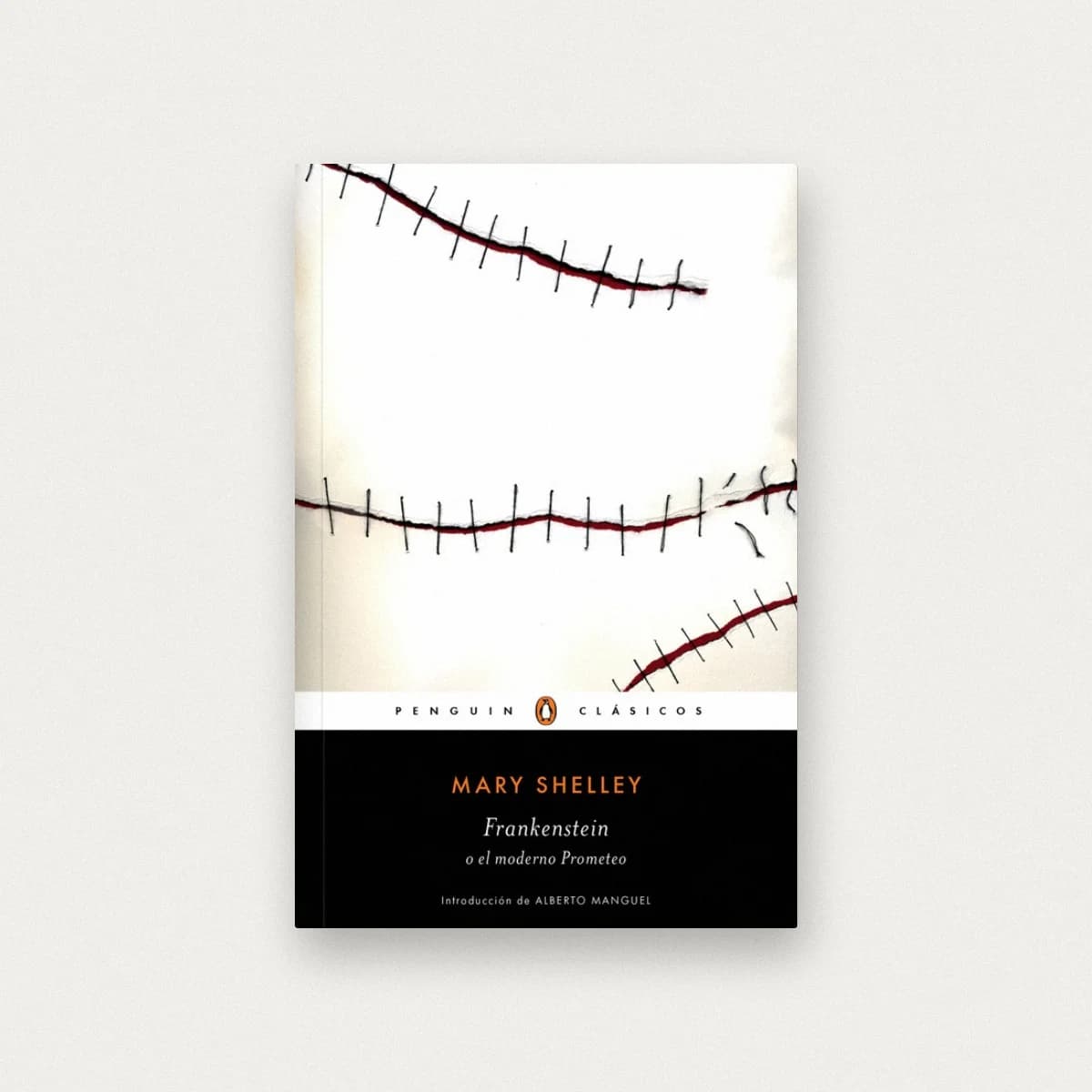 Frankenstein o el moderno prometeo