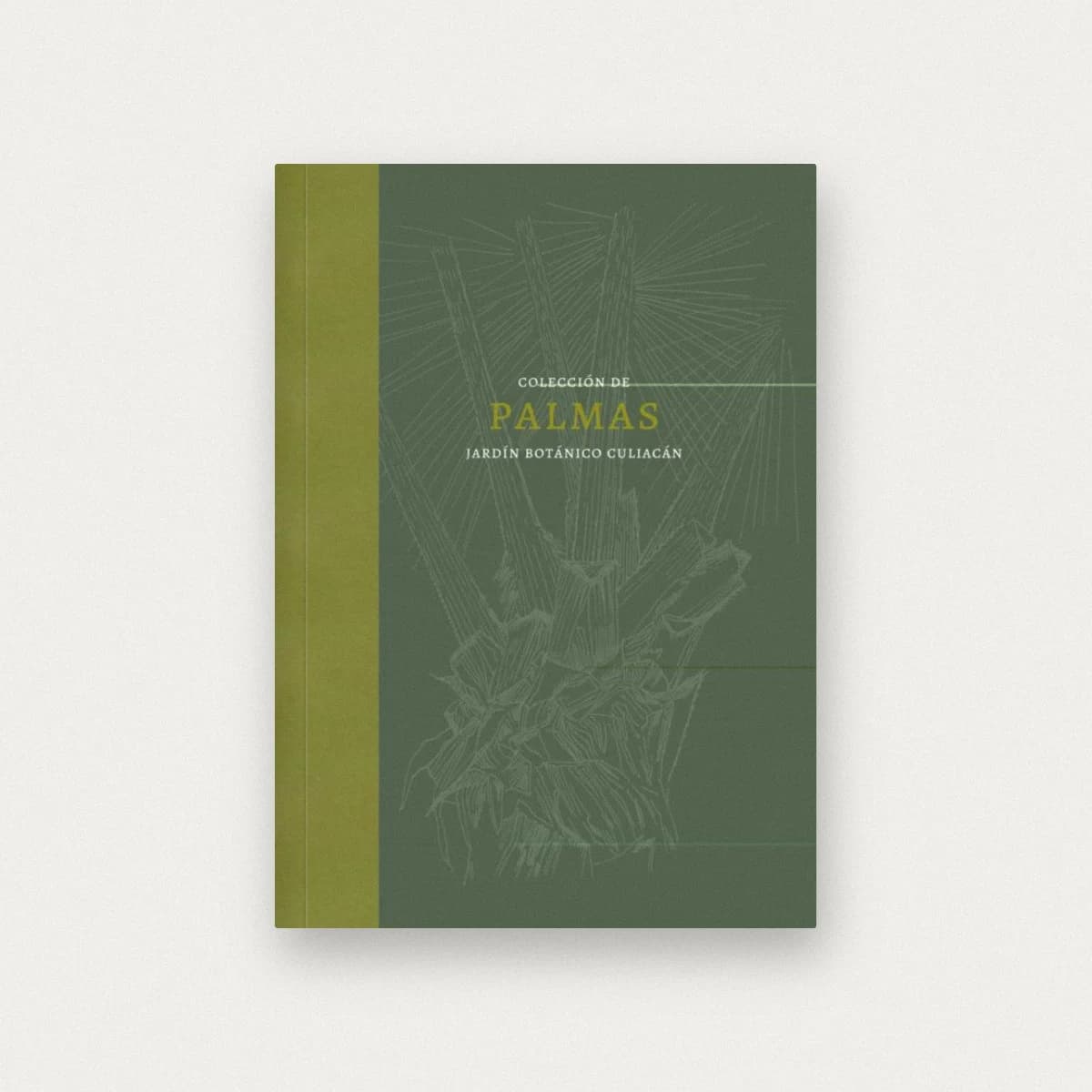 Palmas: la colección del jardín botánico Culiacán en México