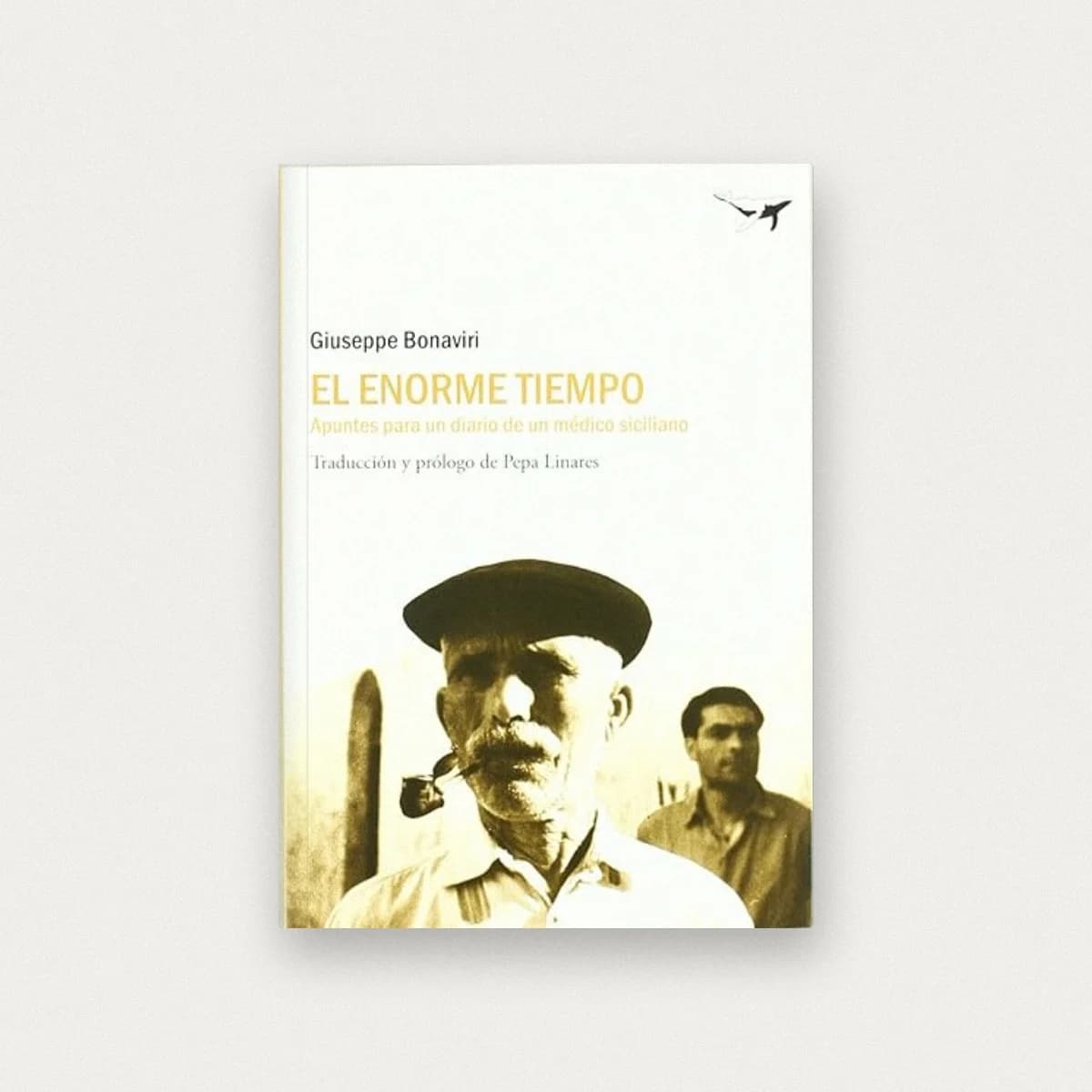 El enorme tiempo: Apuntes para un diario de un médico siciliano