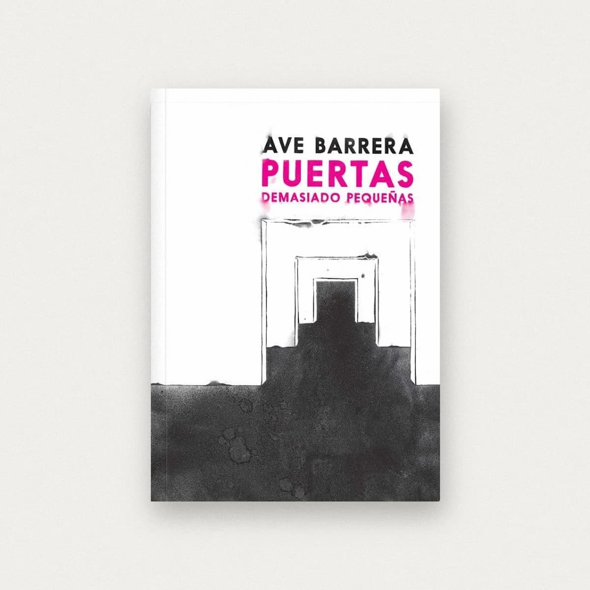 Puertas demasiado pequeñas
