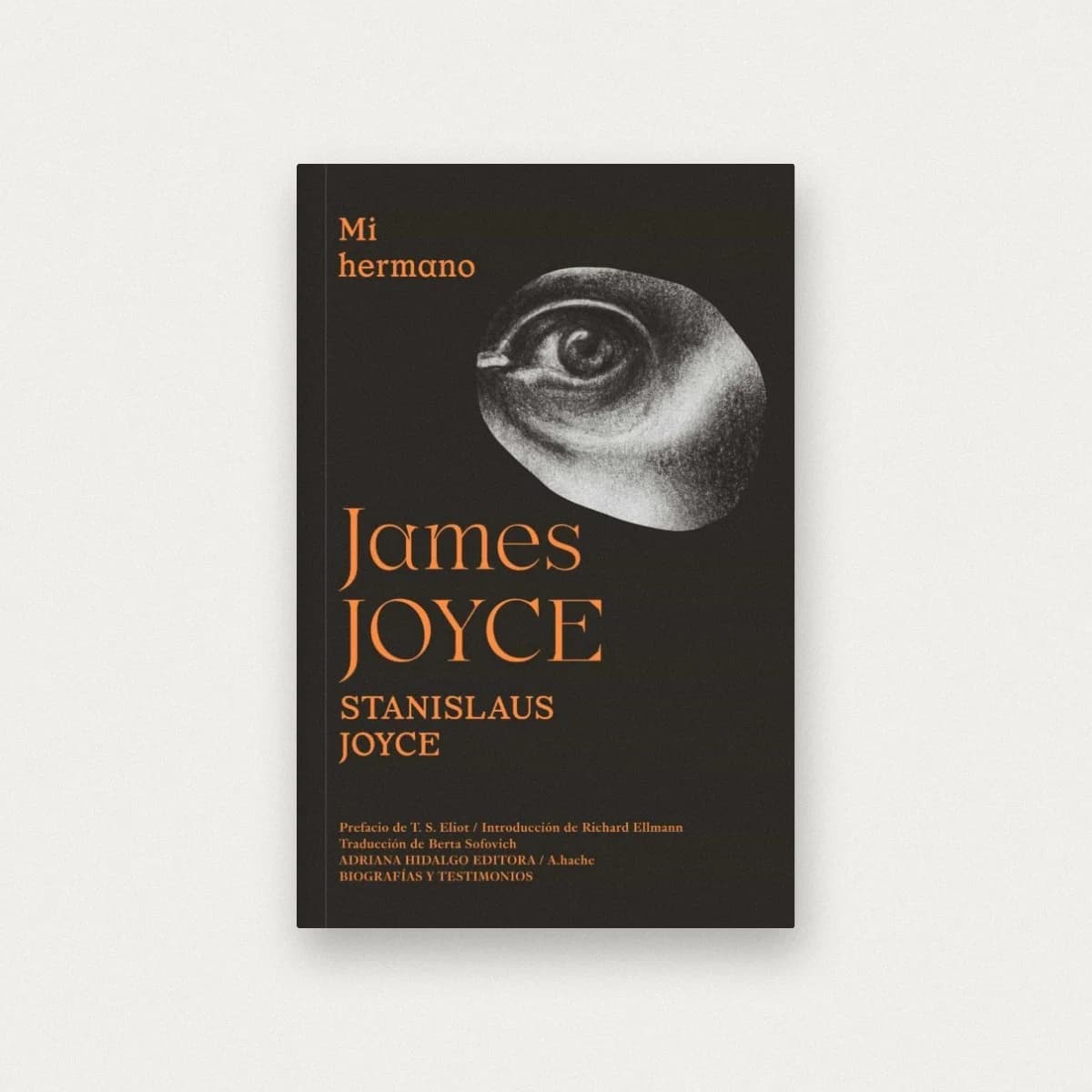 Mi hermano, James Joyce