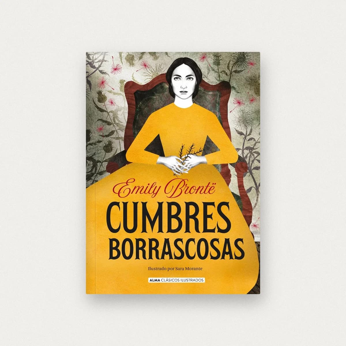 Cumbres Borrascosas