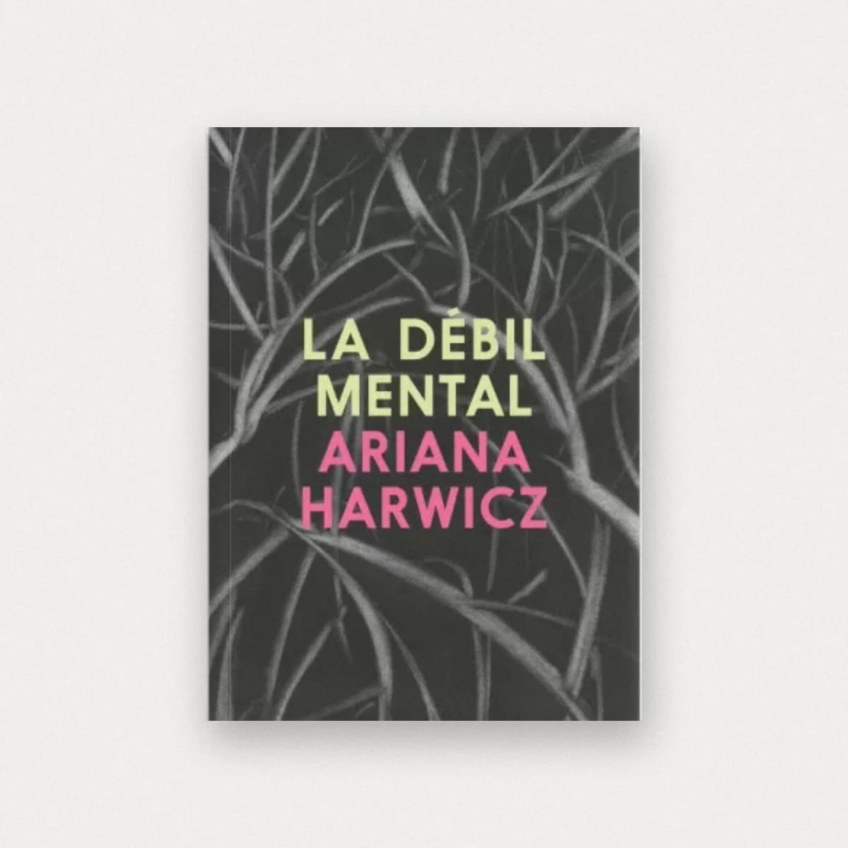 La débil mental