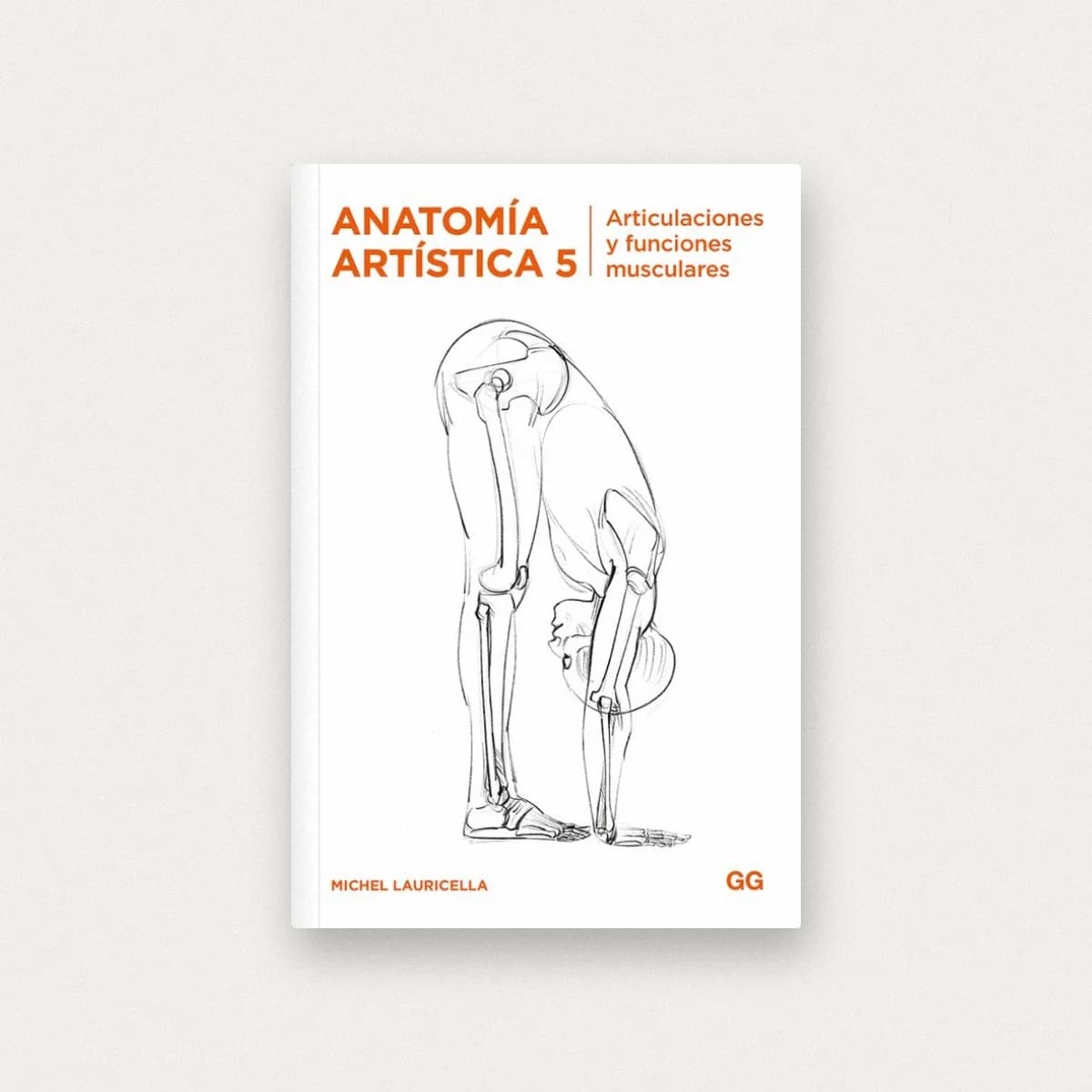 Anatomía artística 5: Articulaciones y funciones musculares