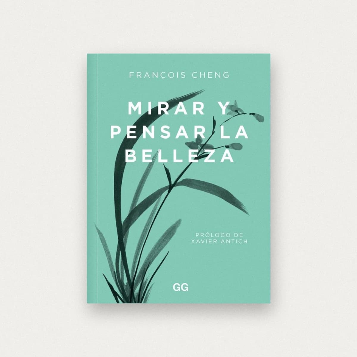 Mirar y pensar la belleza