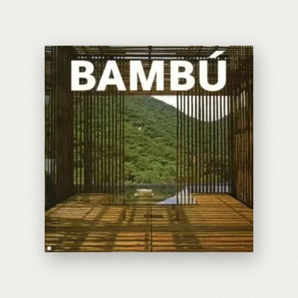 Bambú