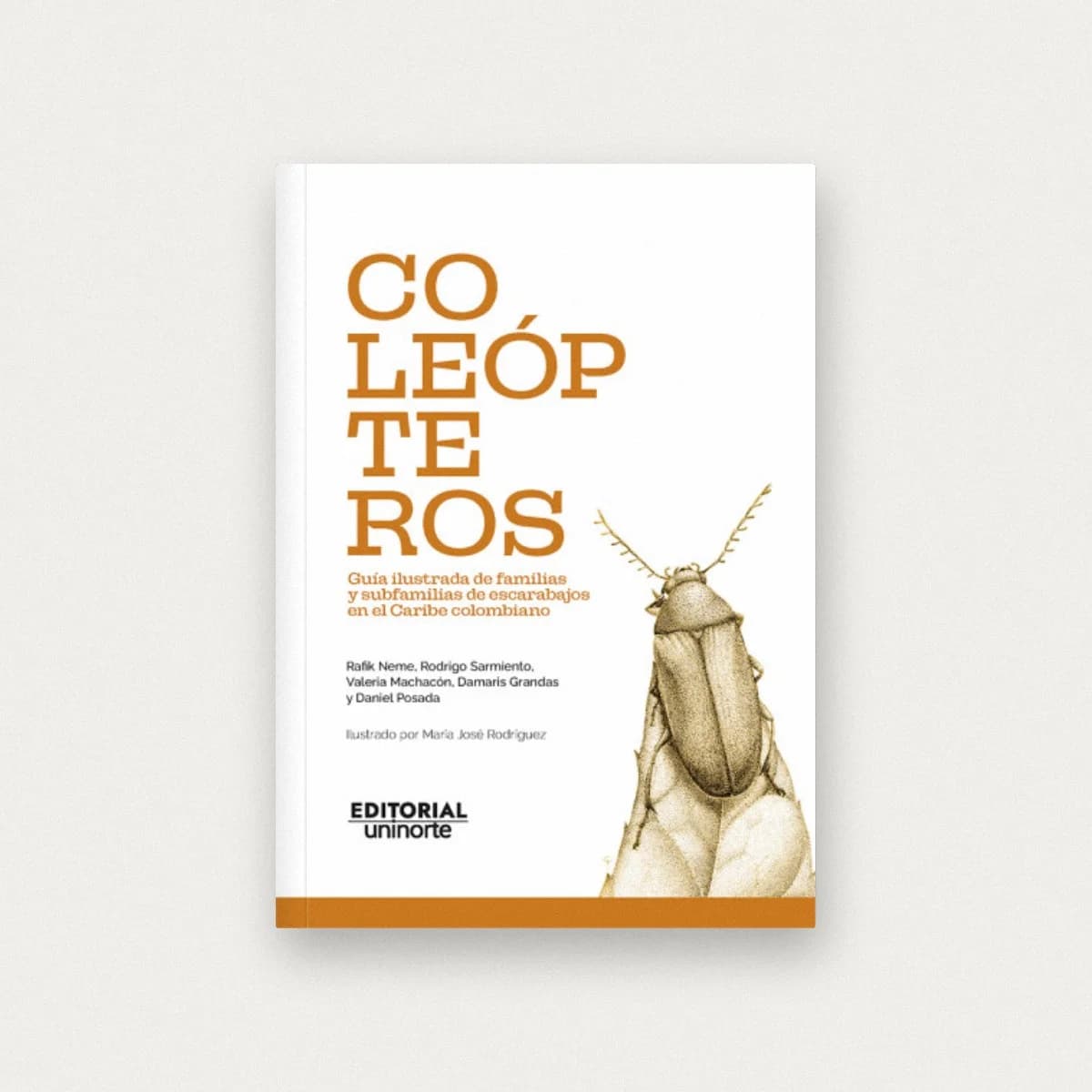 Coleópteros: guía ilustrada de familias y subfamilias de escarabajos en el Caribe colombiano