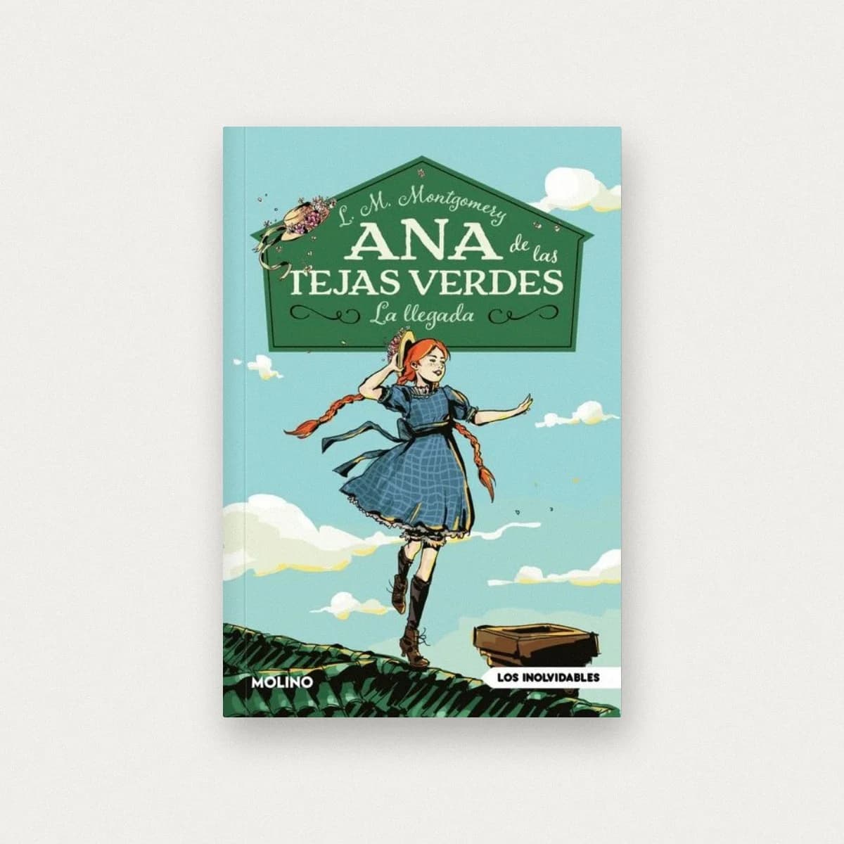 Ana de las tejas verdes 1 – La llegada