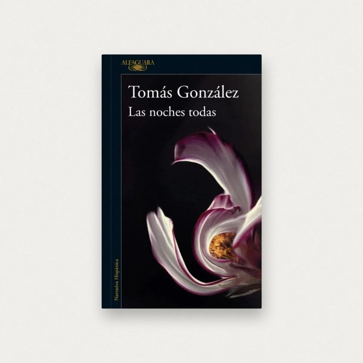 Las noches todas