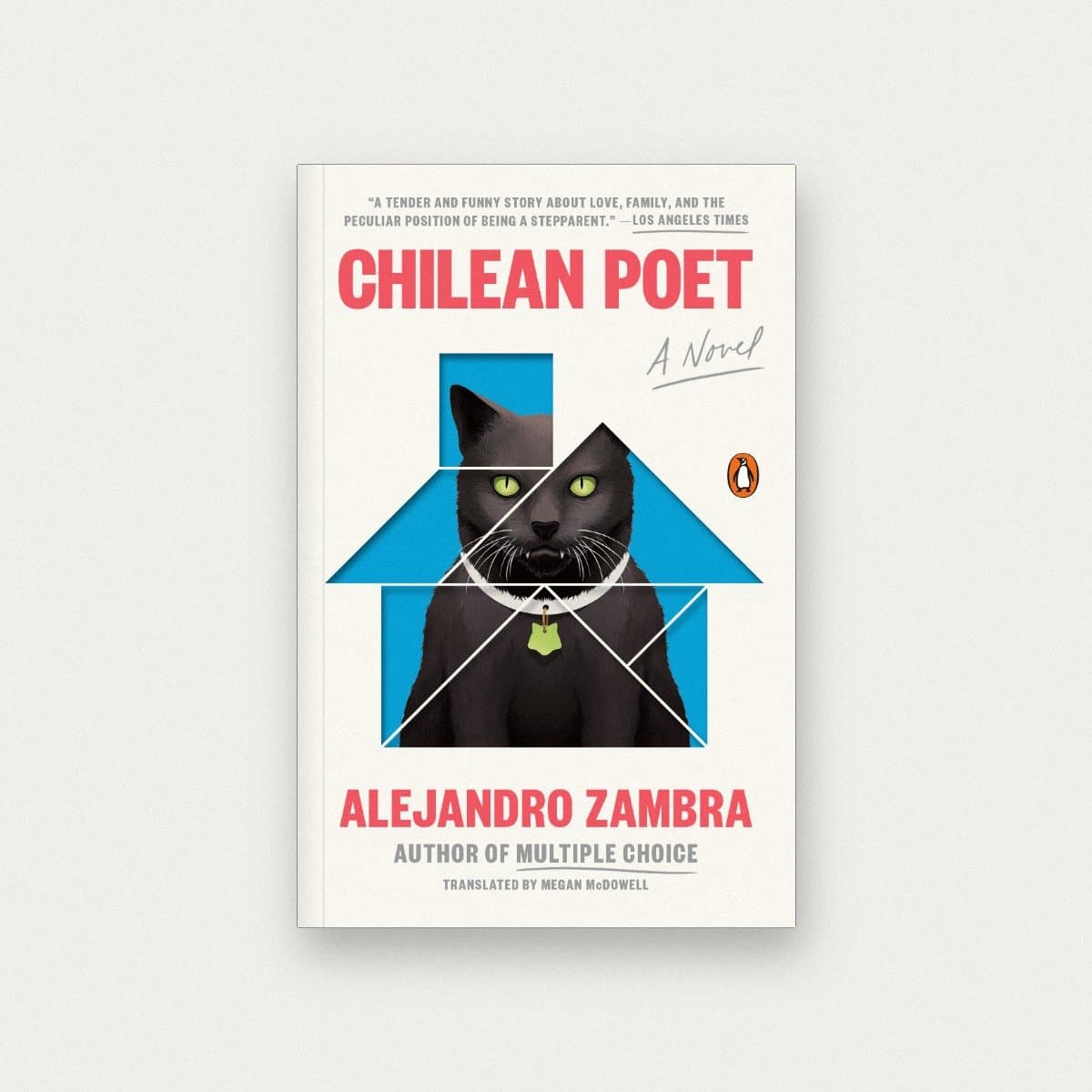 Chilean Poet