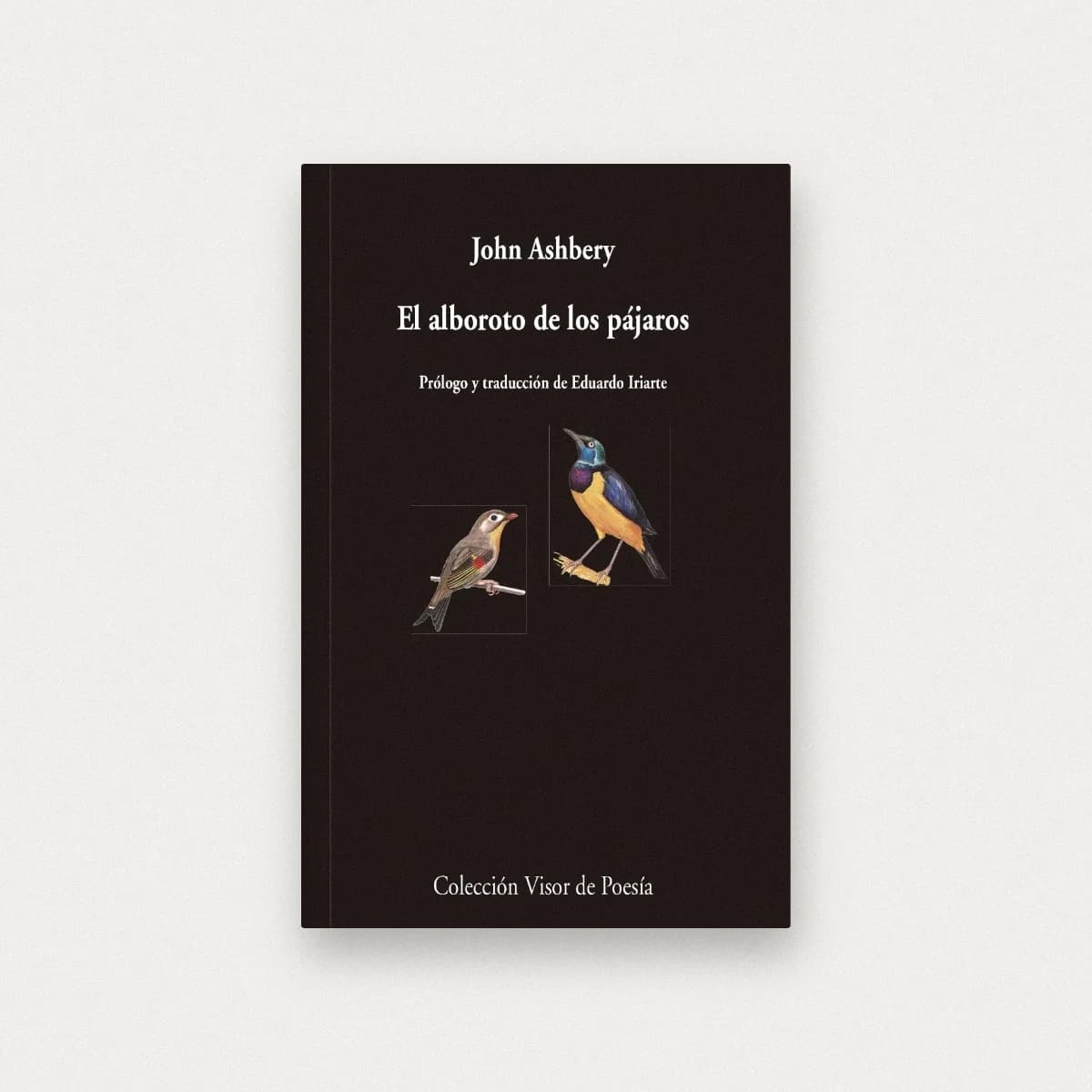 El alboroto de los pájaros