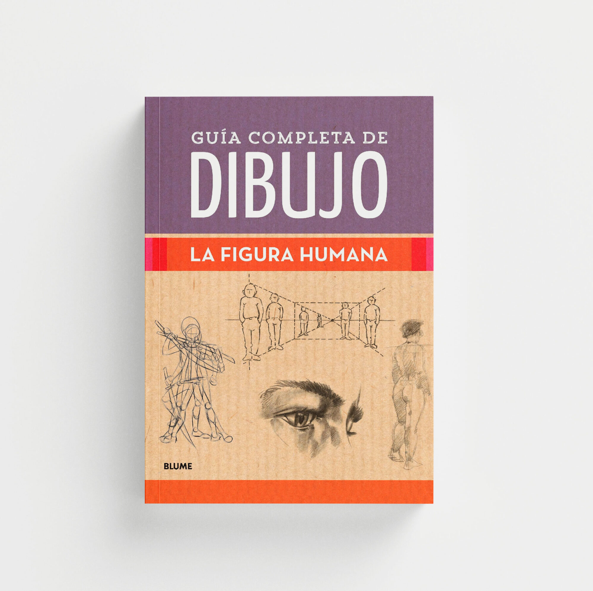 Guía completa de dibujo. La figura humana