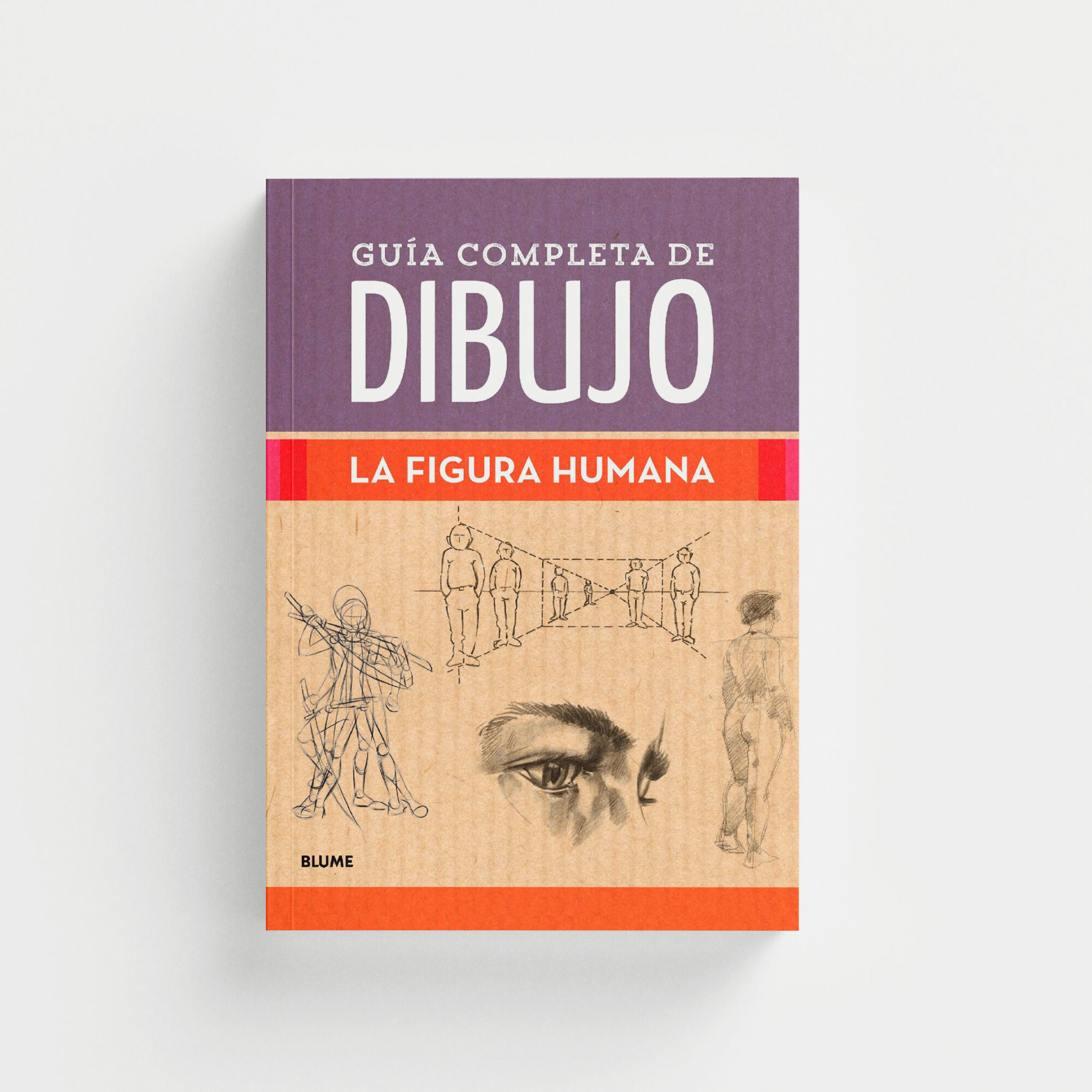 Guía completa de dibujo. La figura humana