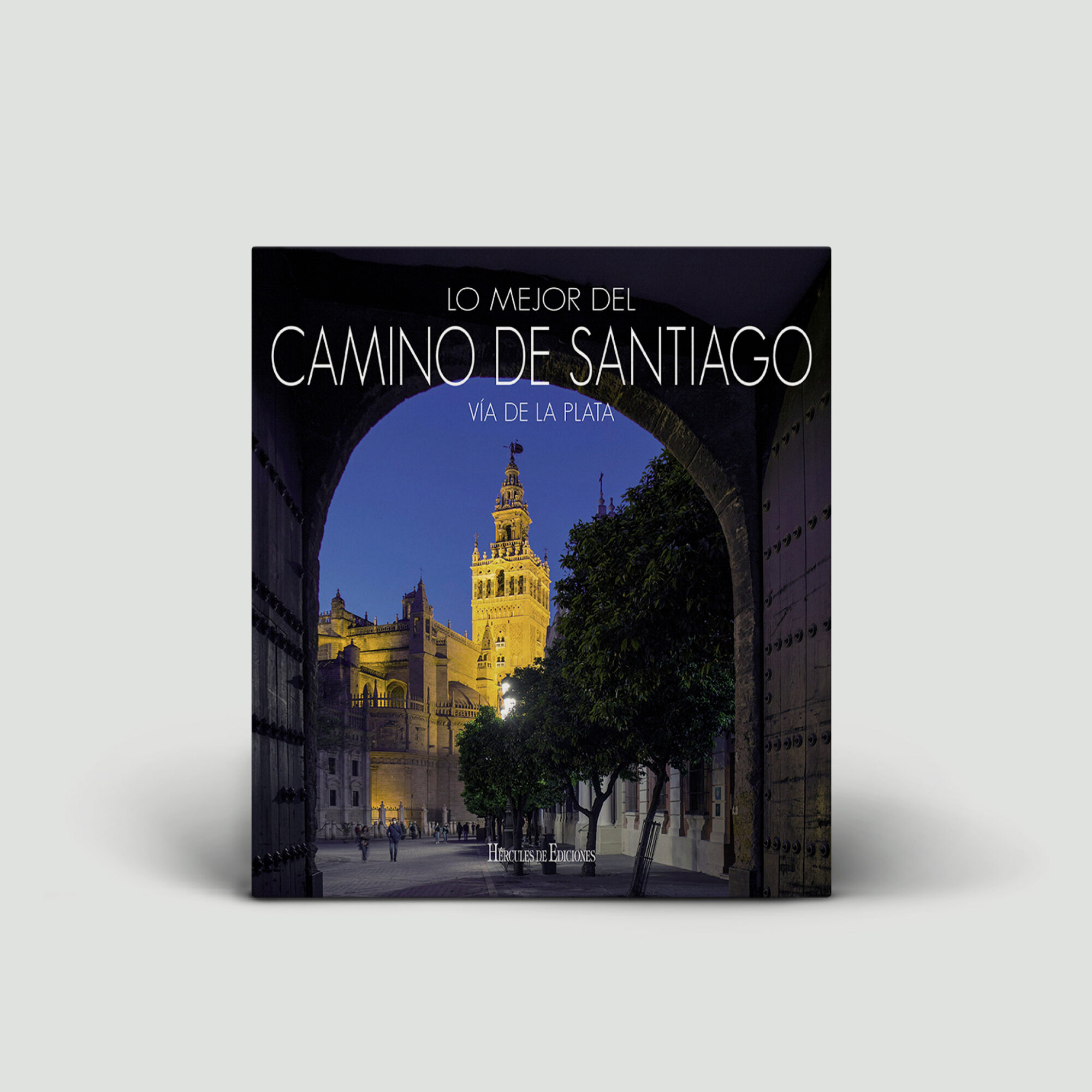 Lo mejor del camino de Santiago: Vía de la plata