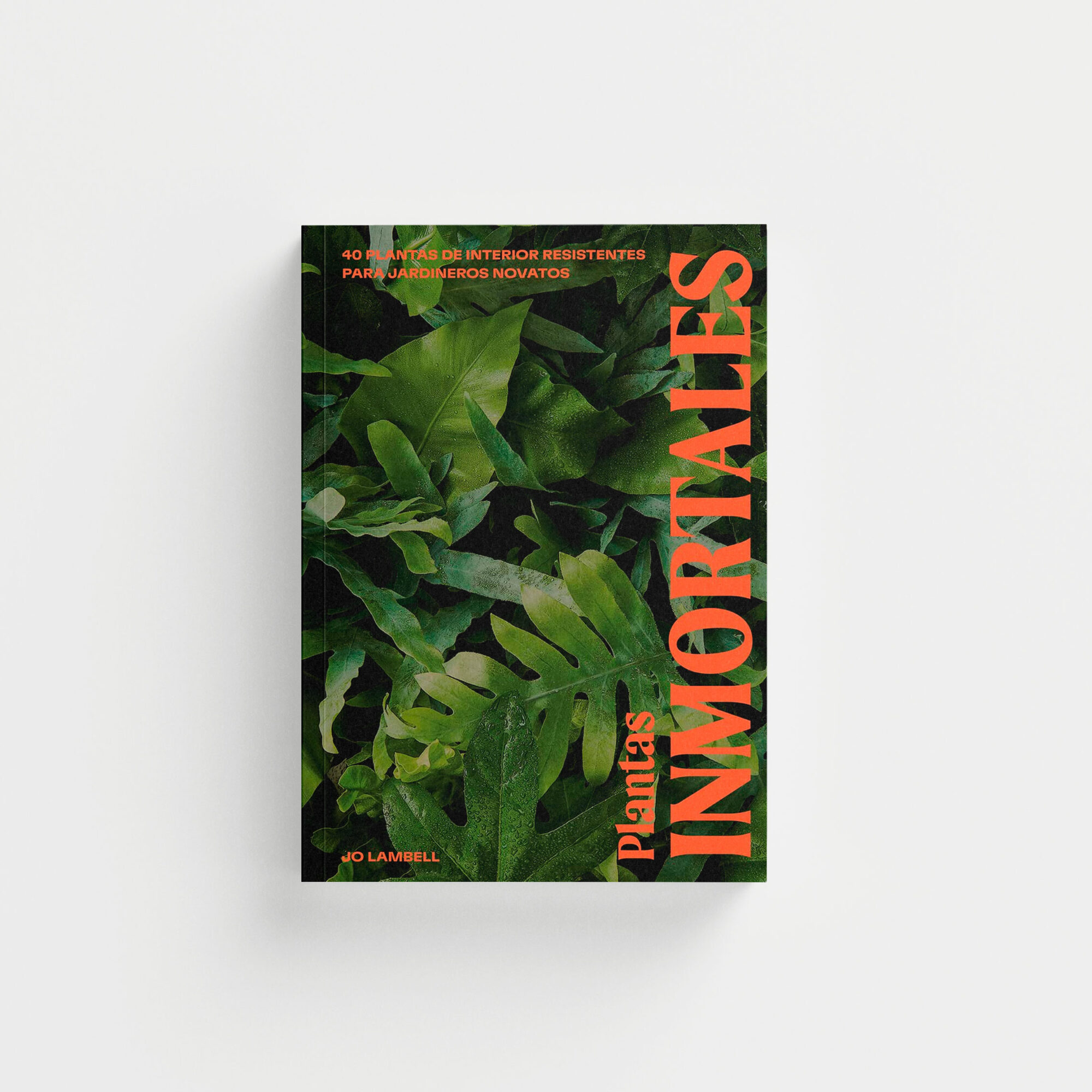 Plantas inmortales: 40 plantas de interior resistentes para jardineros novatos