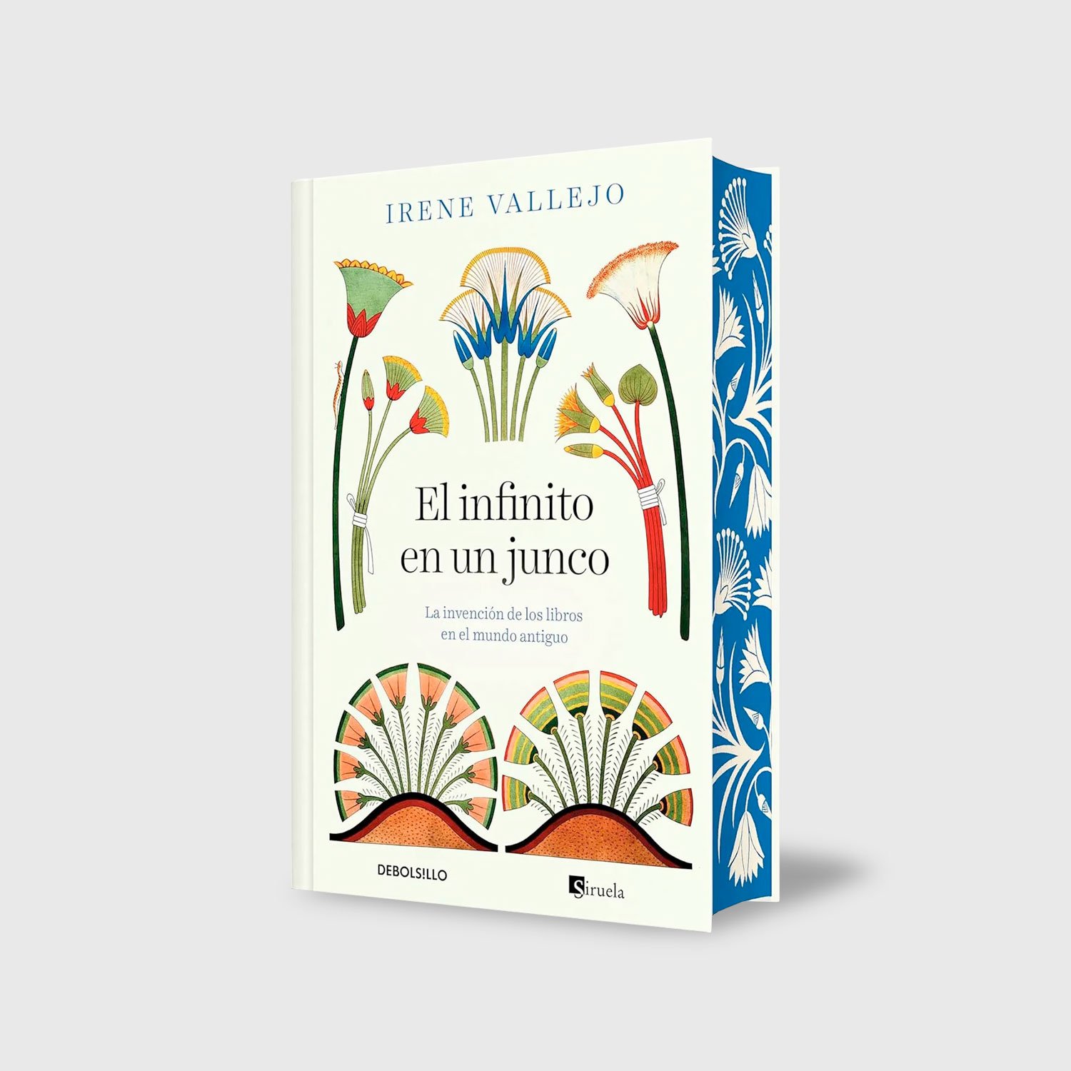 El infinito en un junco
