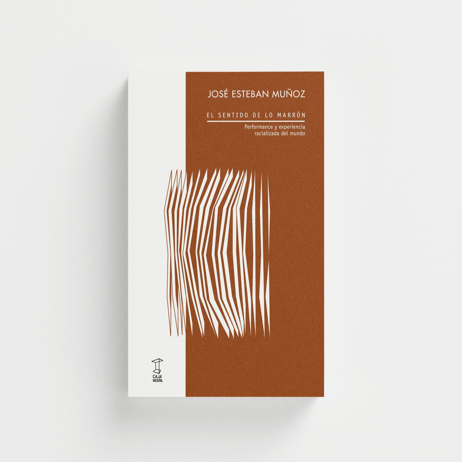 El sentido de lo marrón