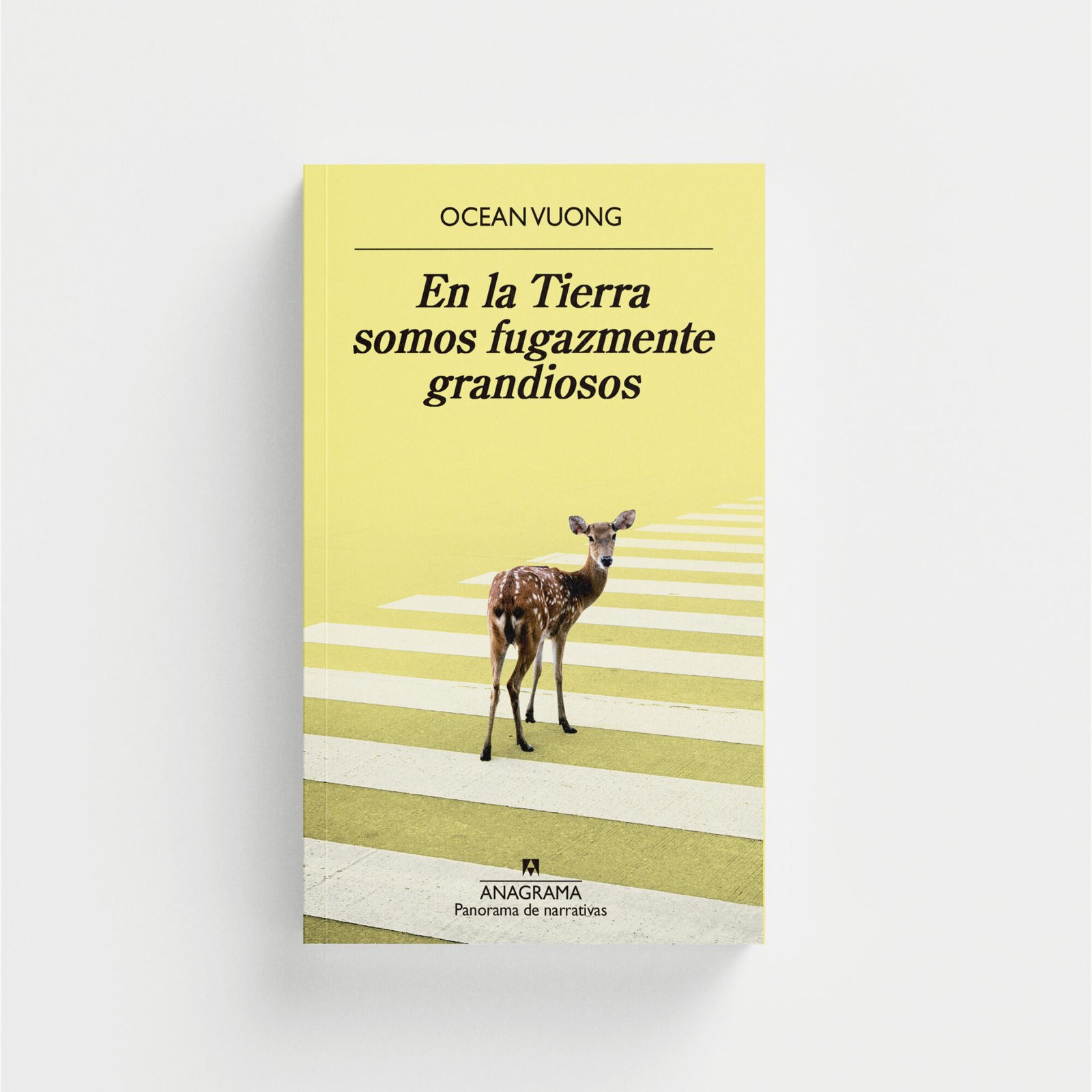 En la Tierra somos fugazmente grandiosos