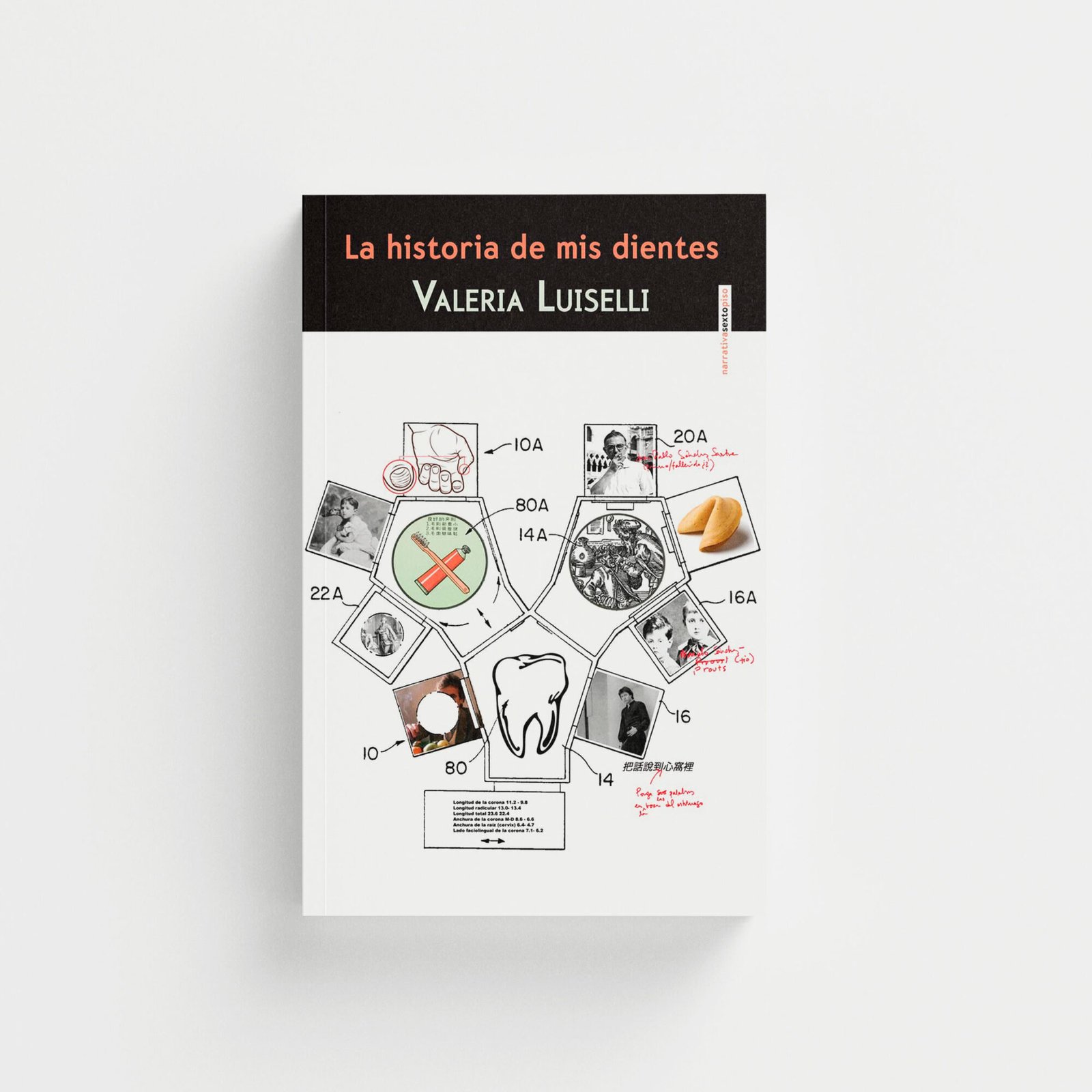 La historia de mis dientes