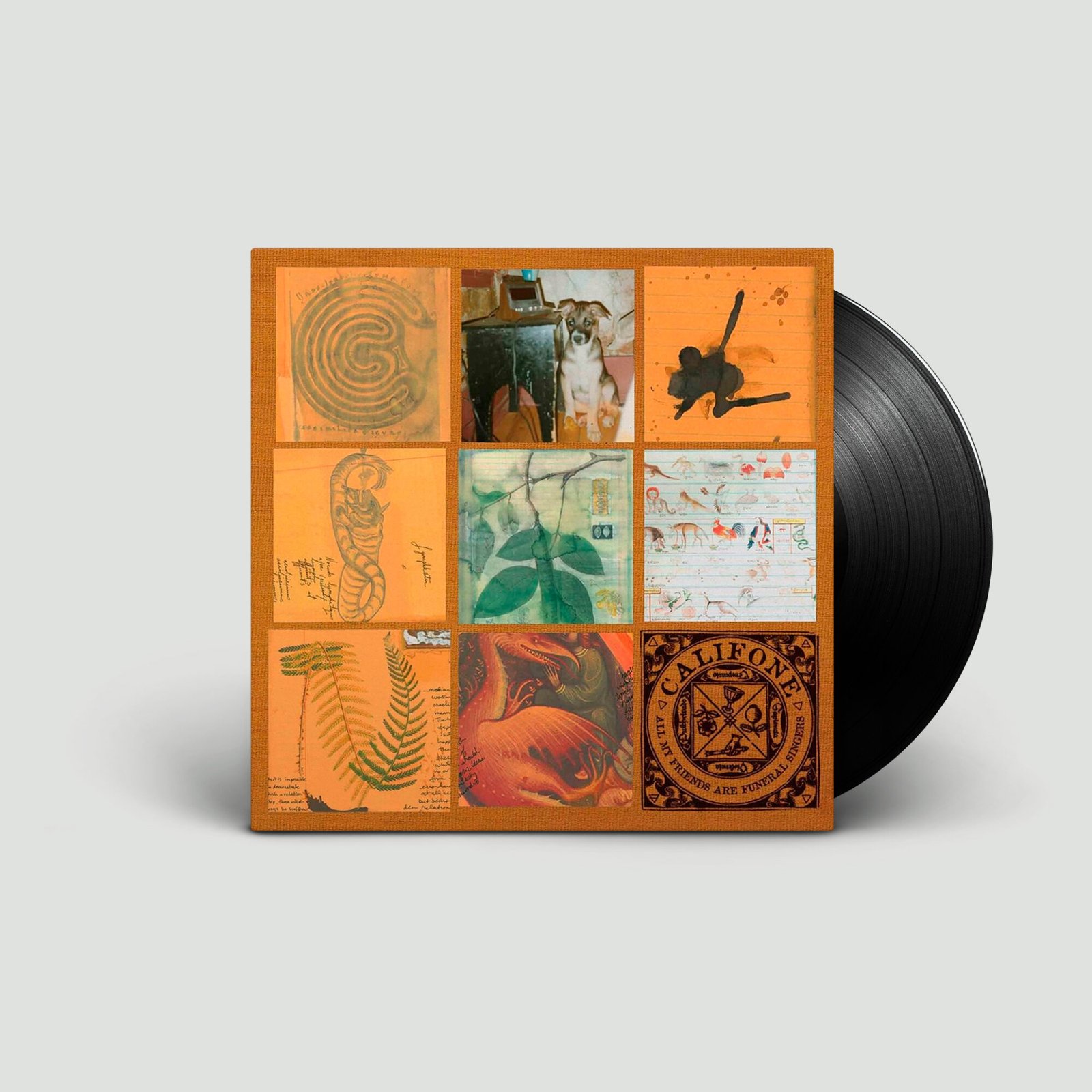 All My Friends Are Funeral Singers