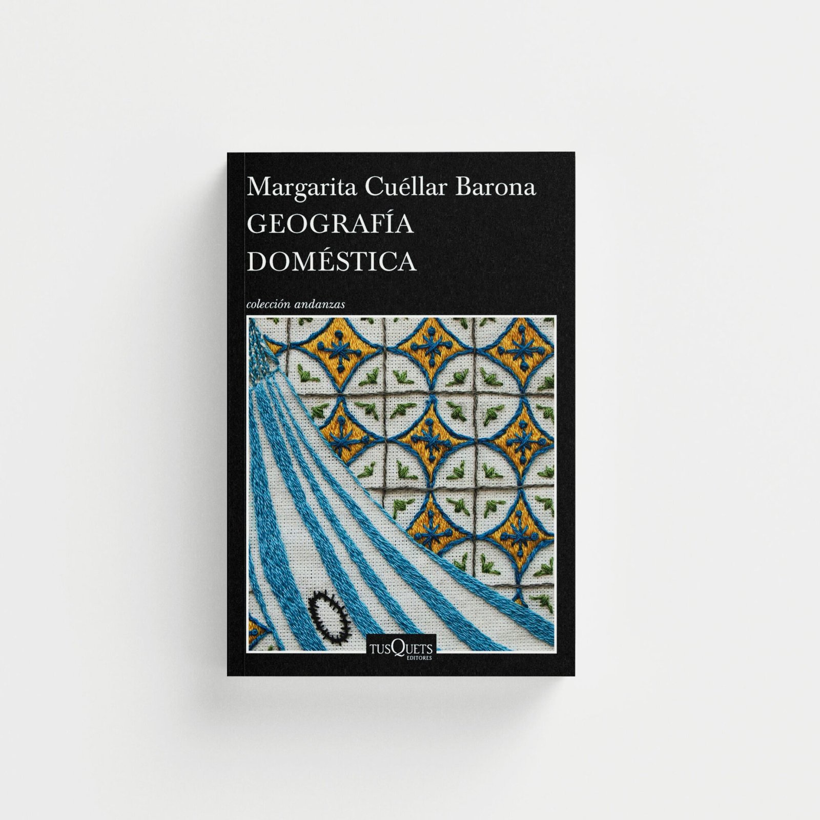 Geografía doméstica