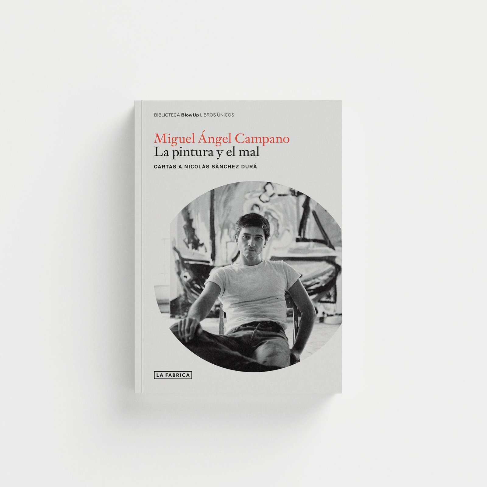 La pintura y el mal. Cartas a Nicolás Sánchez Durá