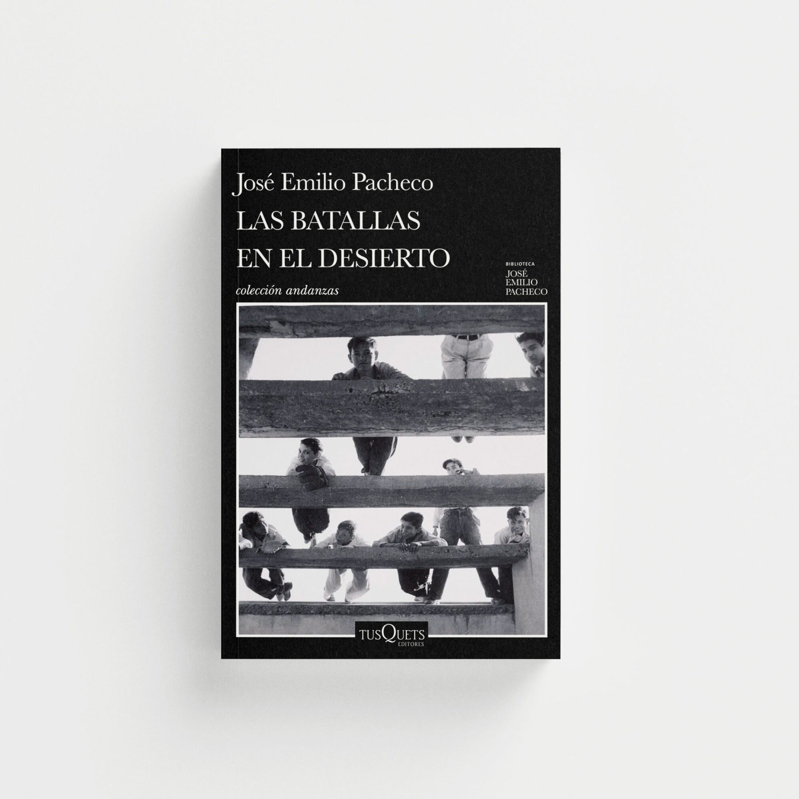 Las batallas en el desierto