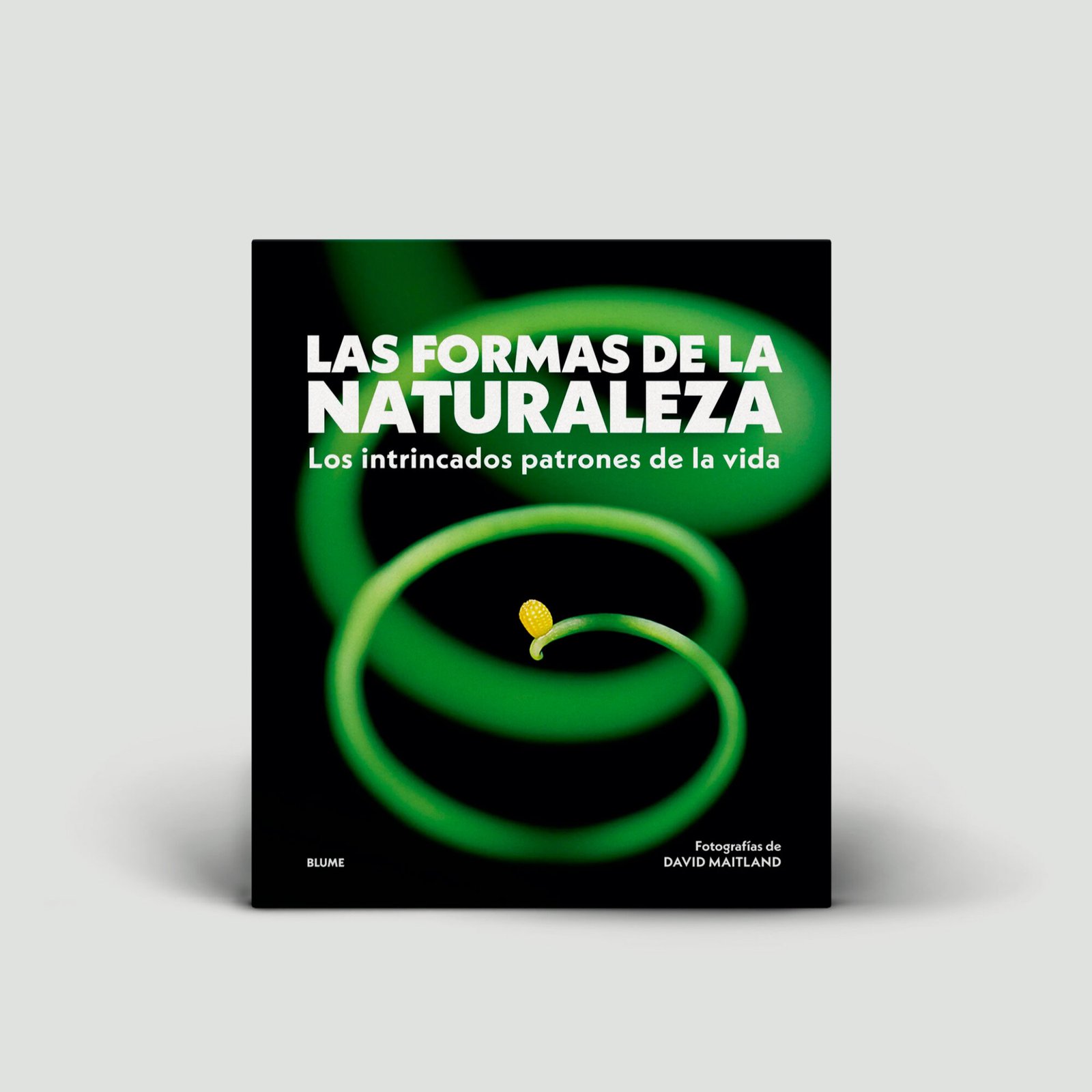 Las formas de la naturaleza