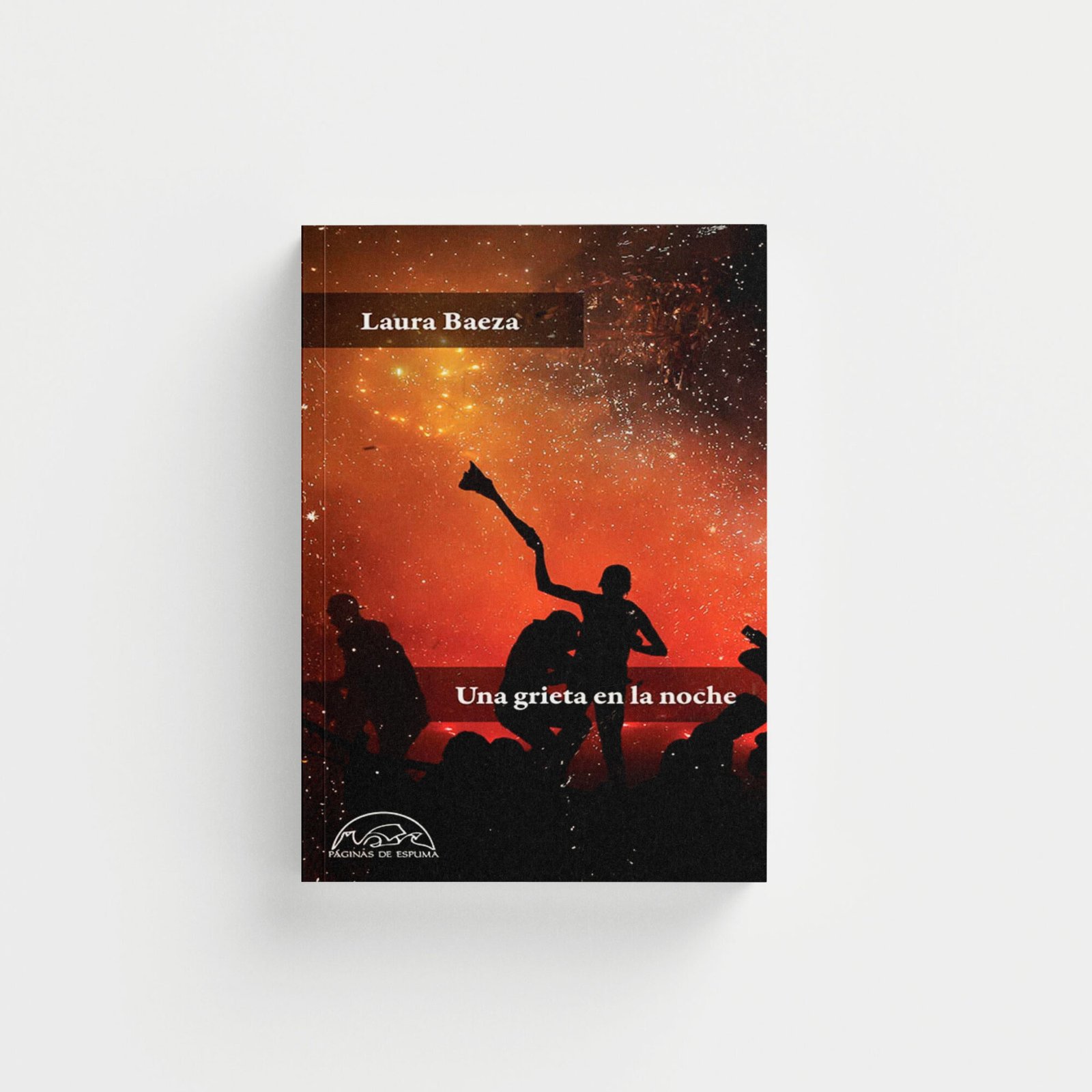 Una grieta en la noche