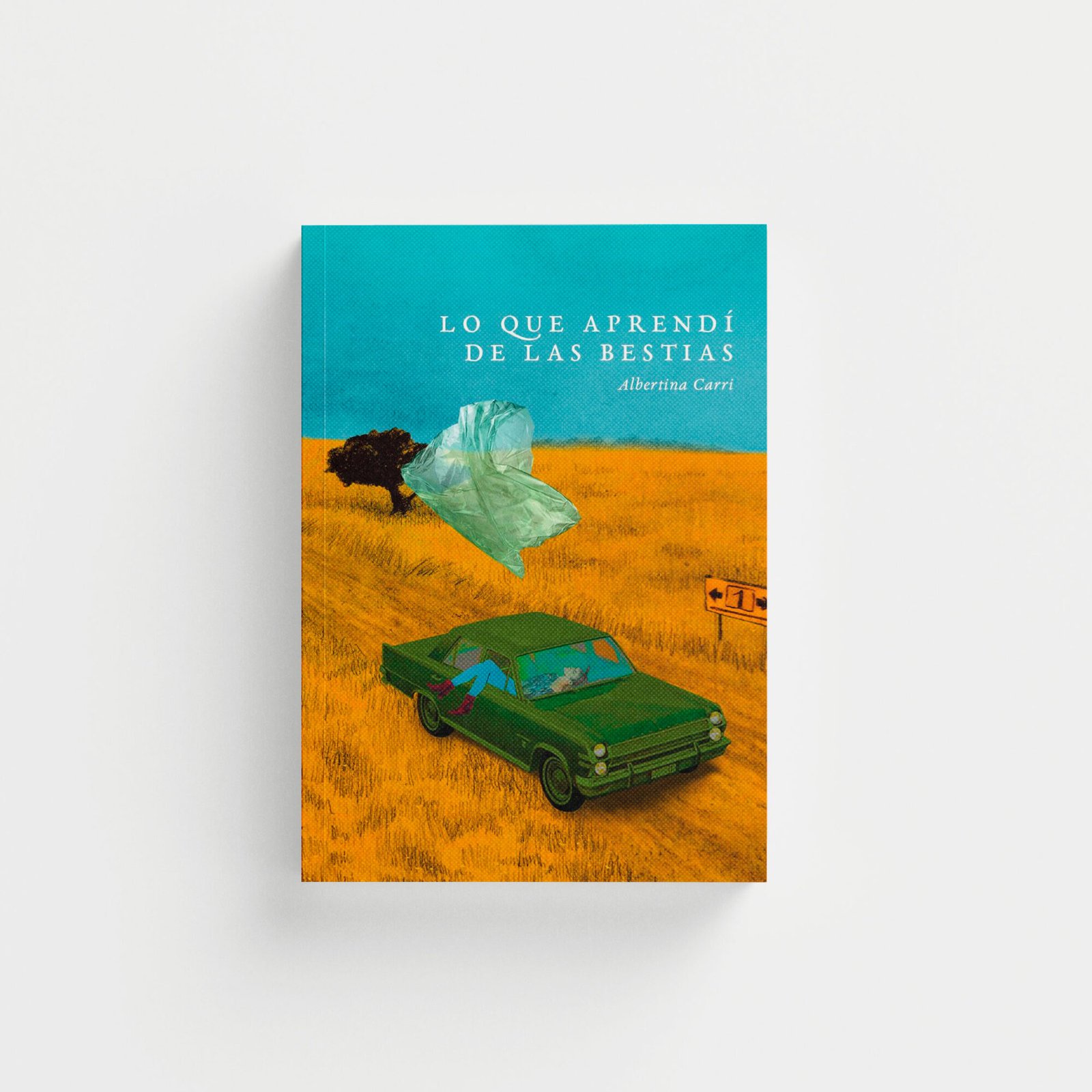 Lo que aprendí de las bestias