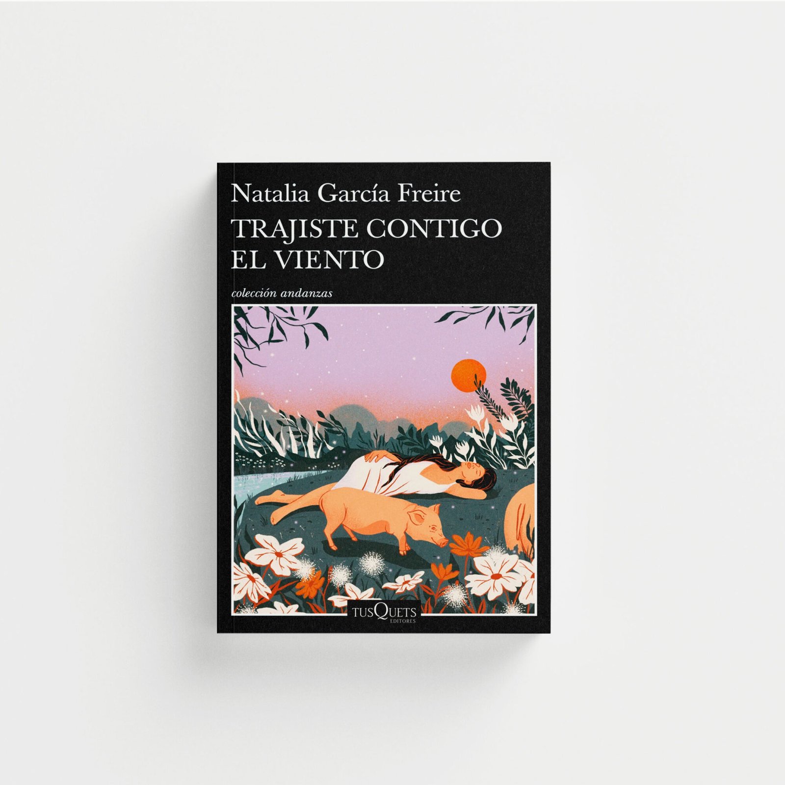 Trajiste contigo el viento