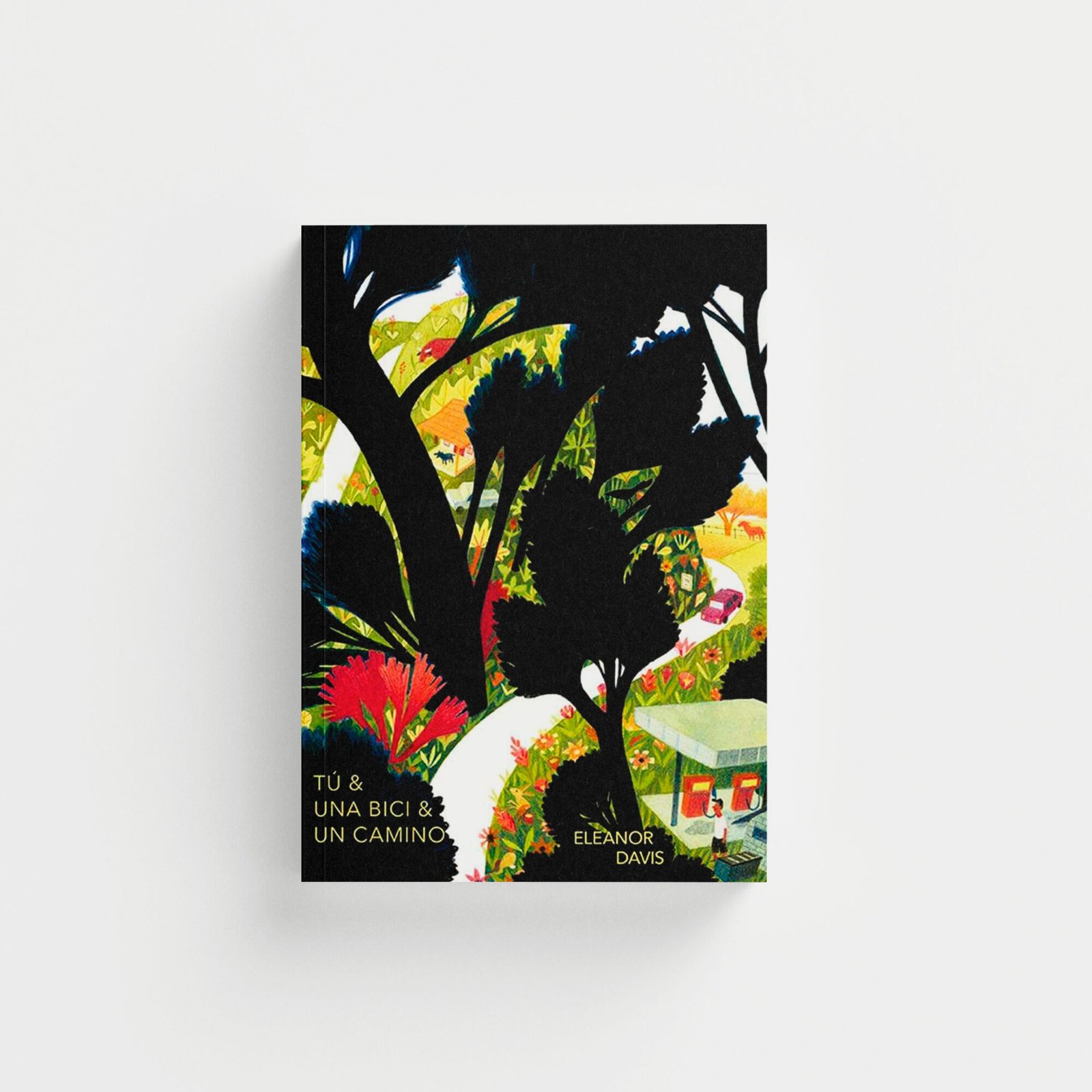 Tú y una bici y un camino