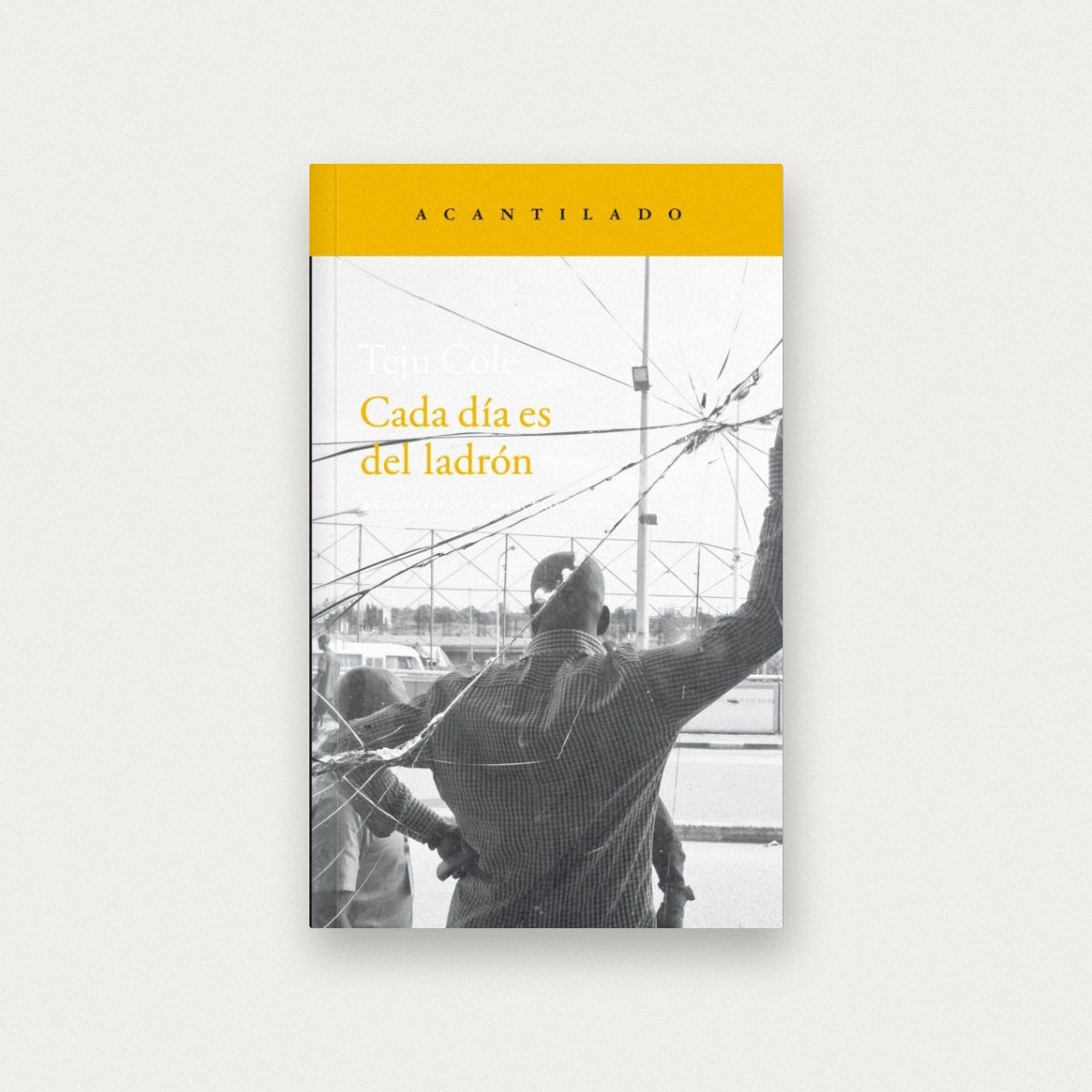 Cada día es del ladrón