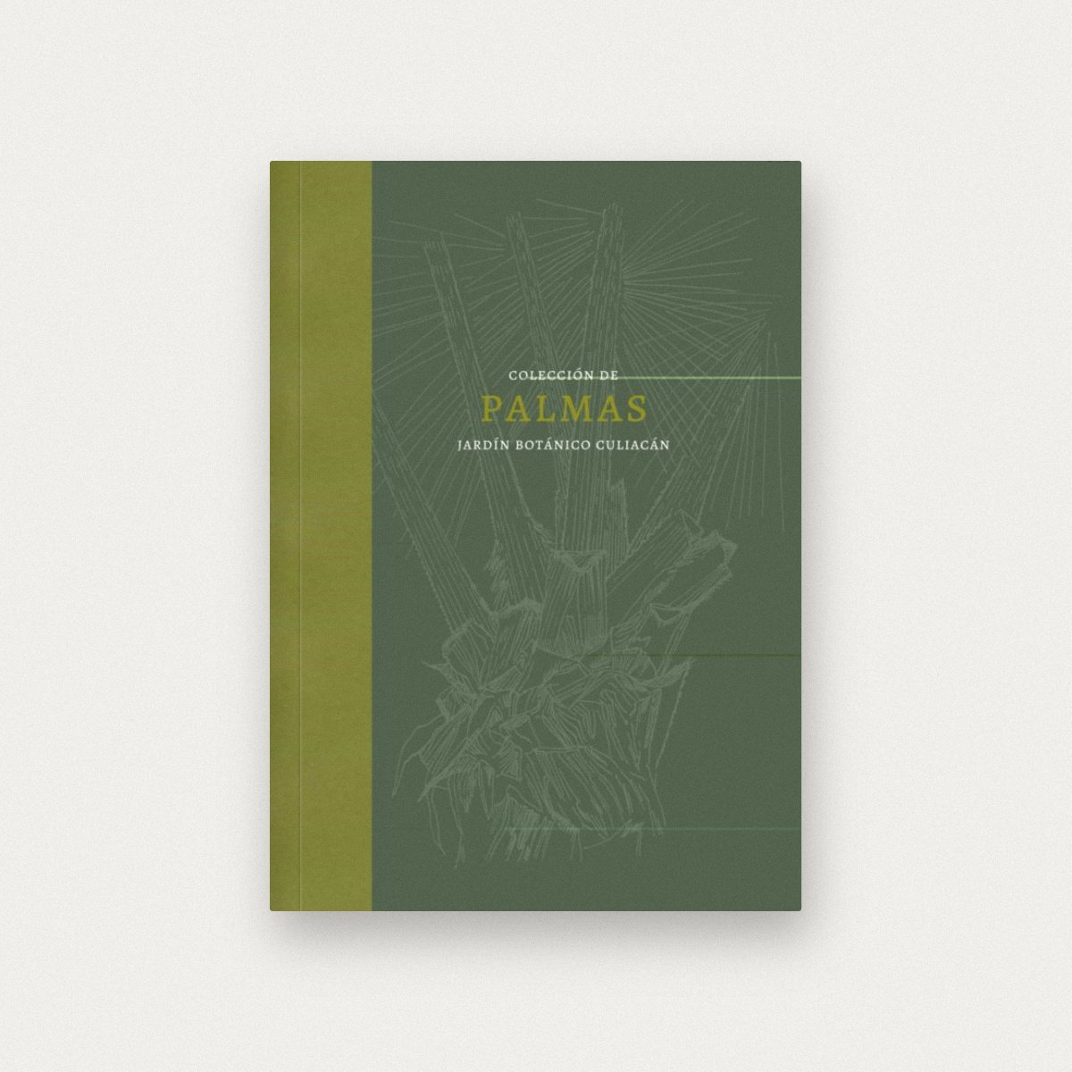 Palmas: la colección del jardín botánico Culiacán en México