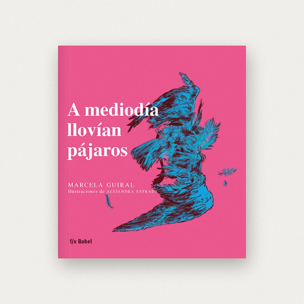 A mediodía llovían pájaros