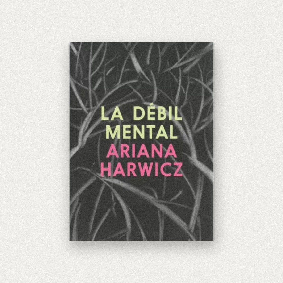 La débil mental