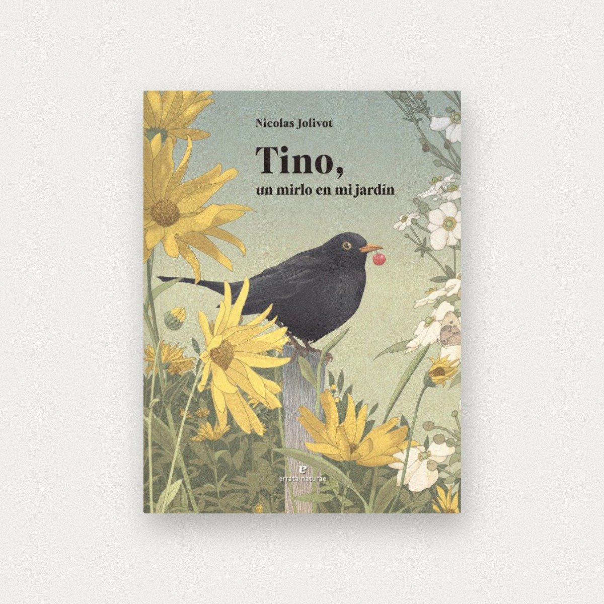 Tino, un mirlo en mi jardín