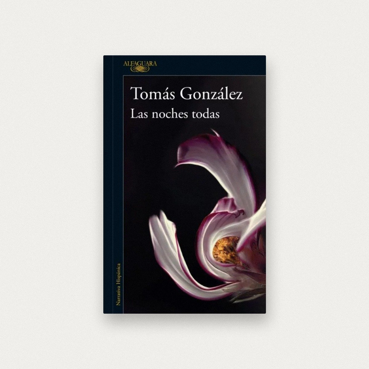 Las noches todas